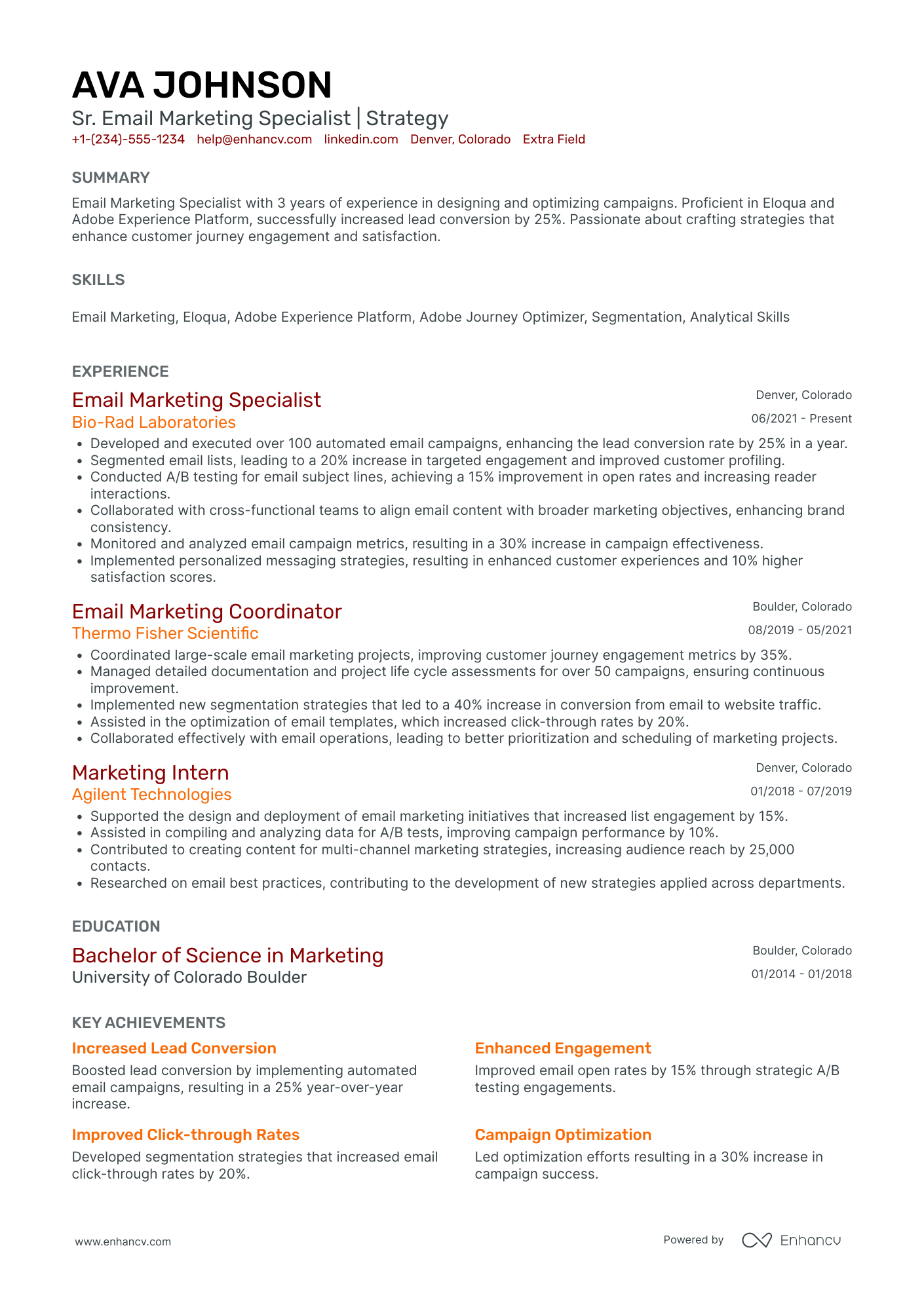 Junior Email Marketing Specialist Resume Example