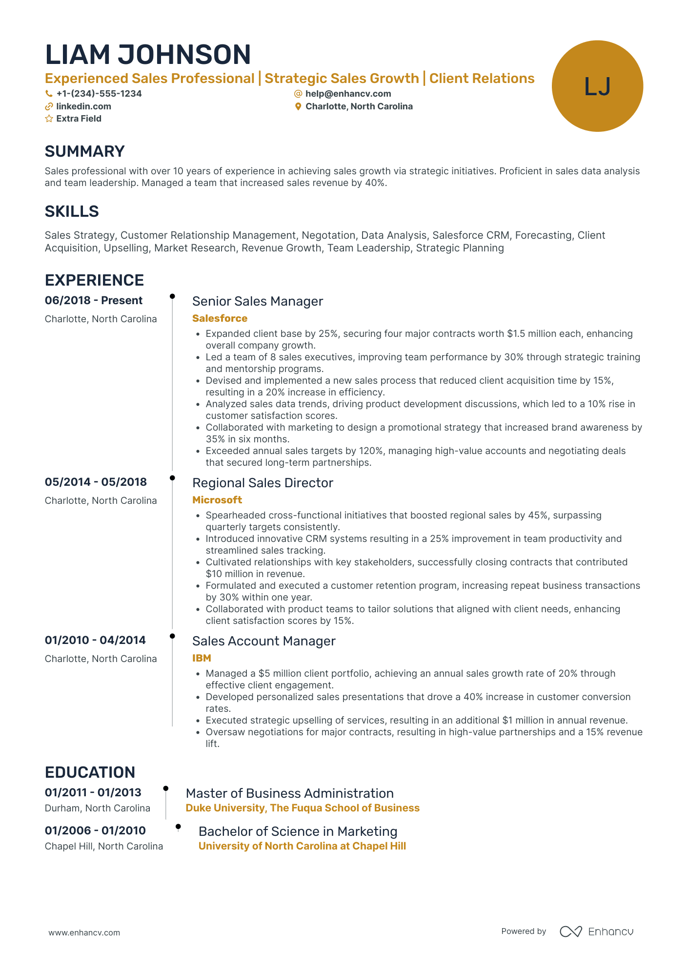 Experienced Sales Professional Resume Example