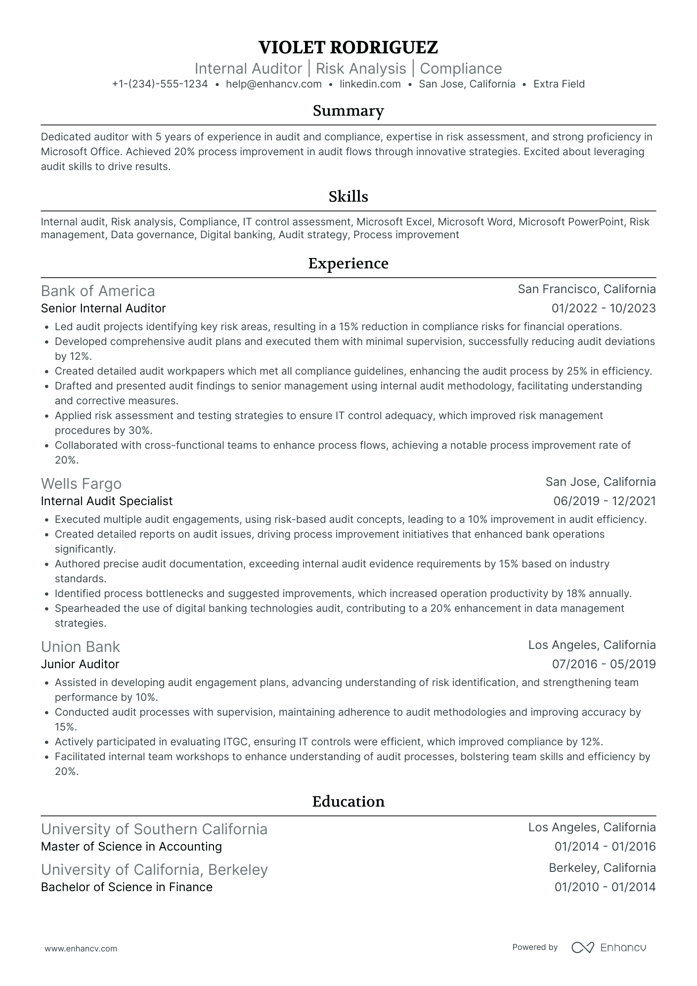 IT Audit Consultant Resume Example