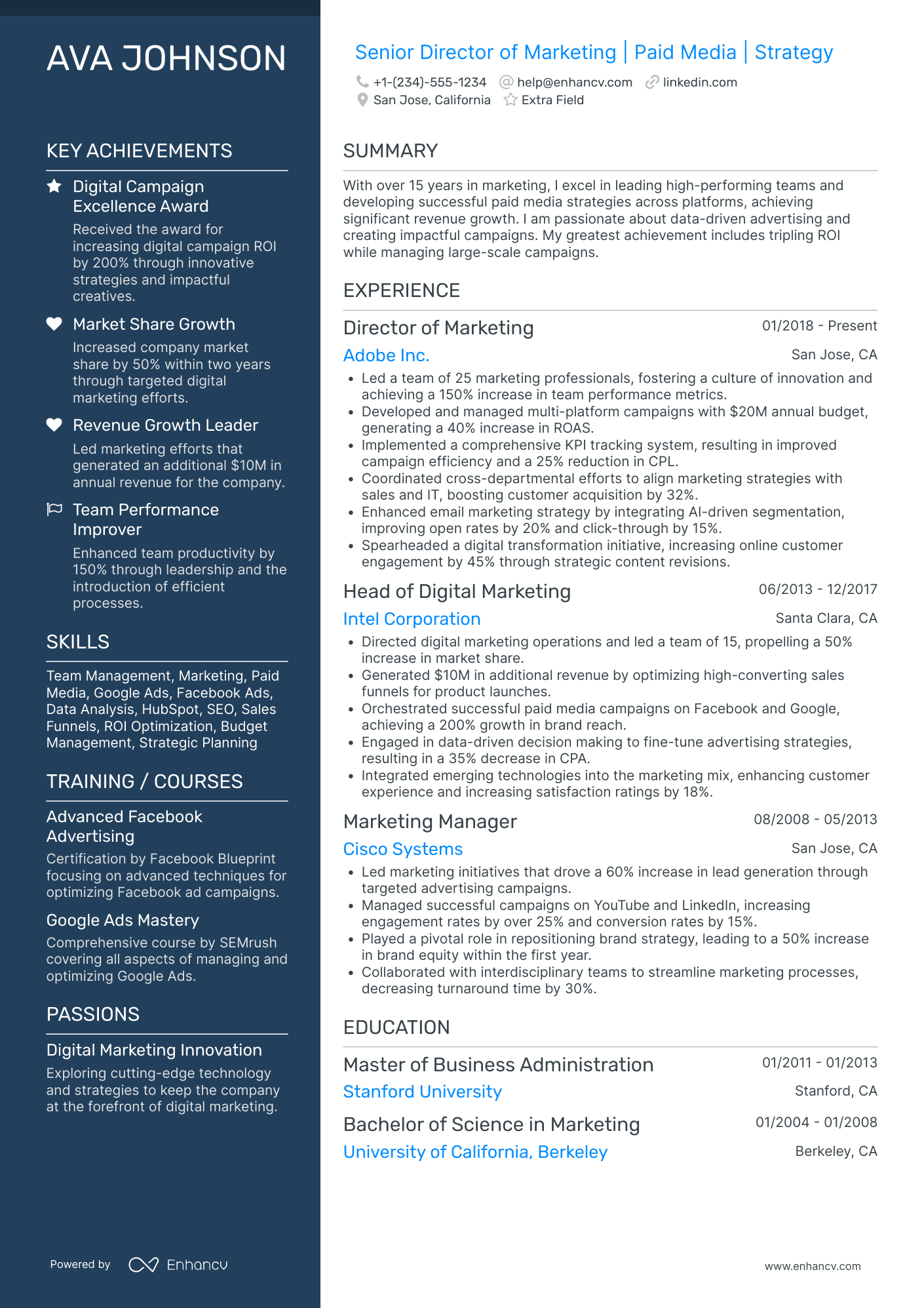 Senior Marketing Director Resume Example