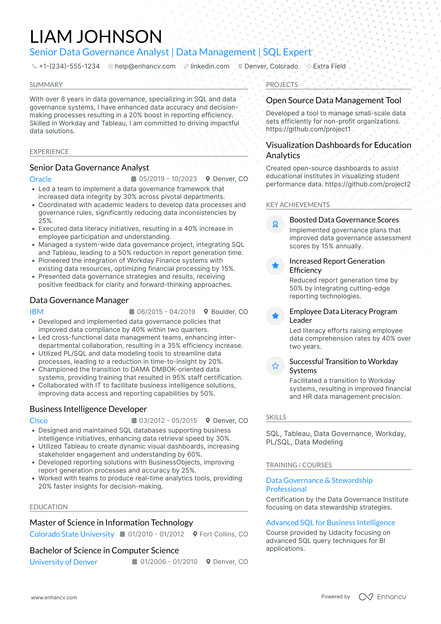 Data Governance Analyst Resume Example