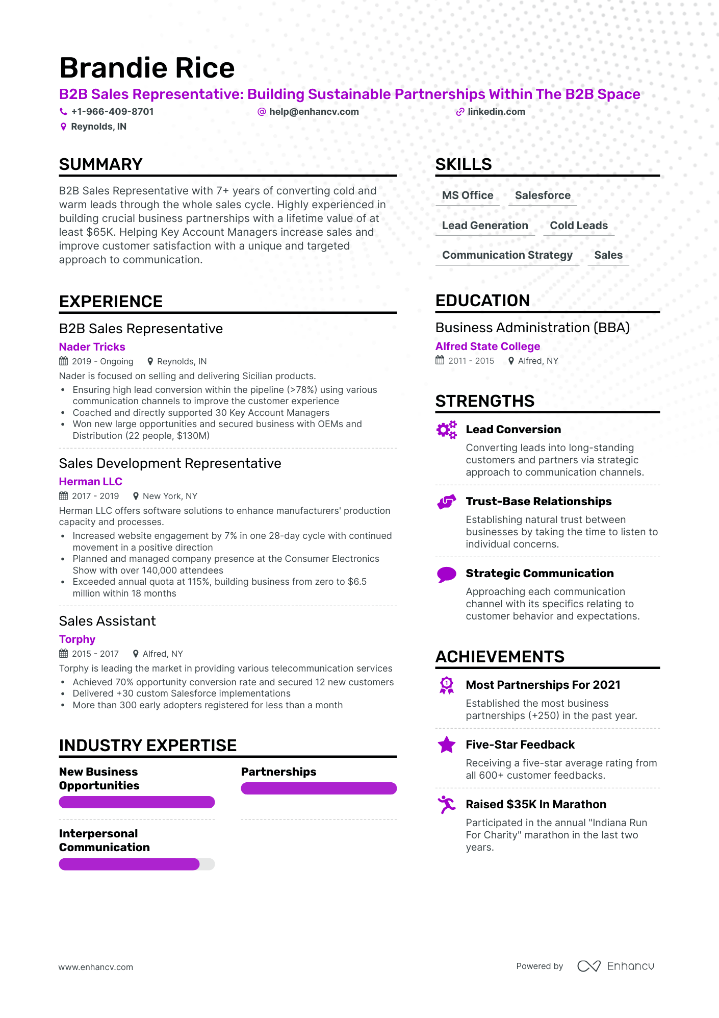 B2B Sales Resume Example