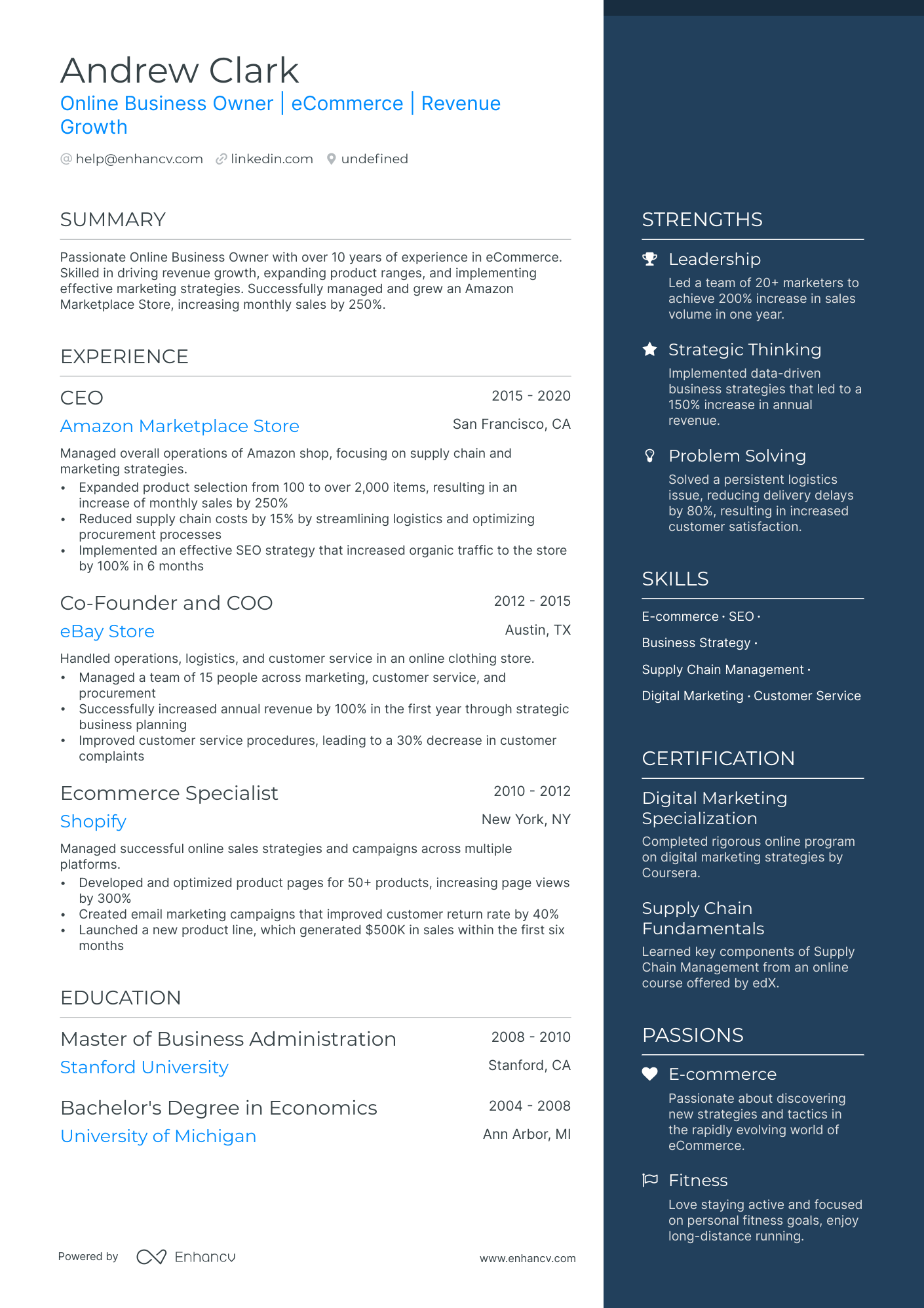 Online Business Owner Resume Example