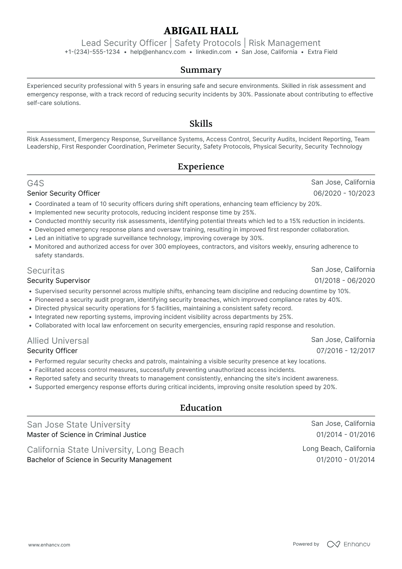 Lead Security Officer Resume Example