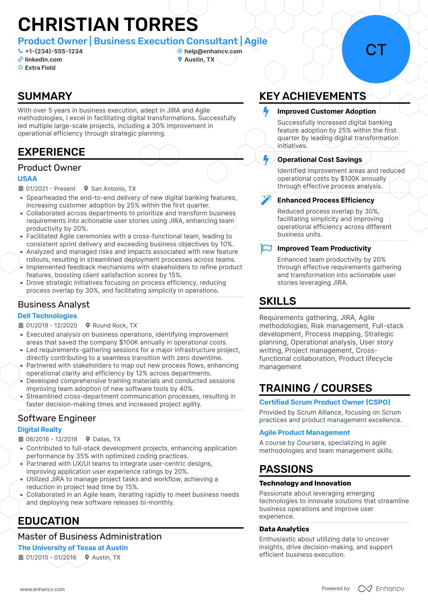 Business Owner Consultant Resume Example