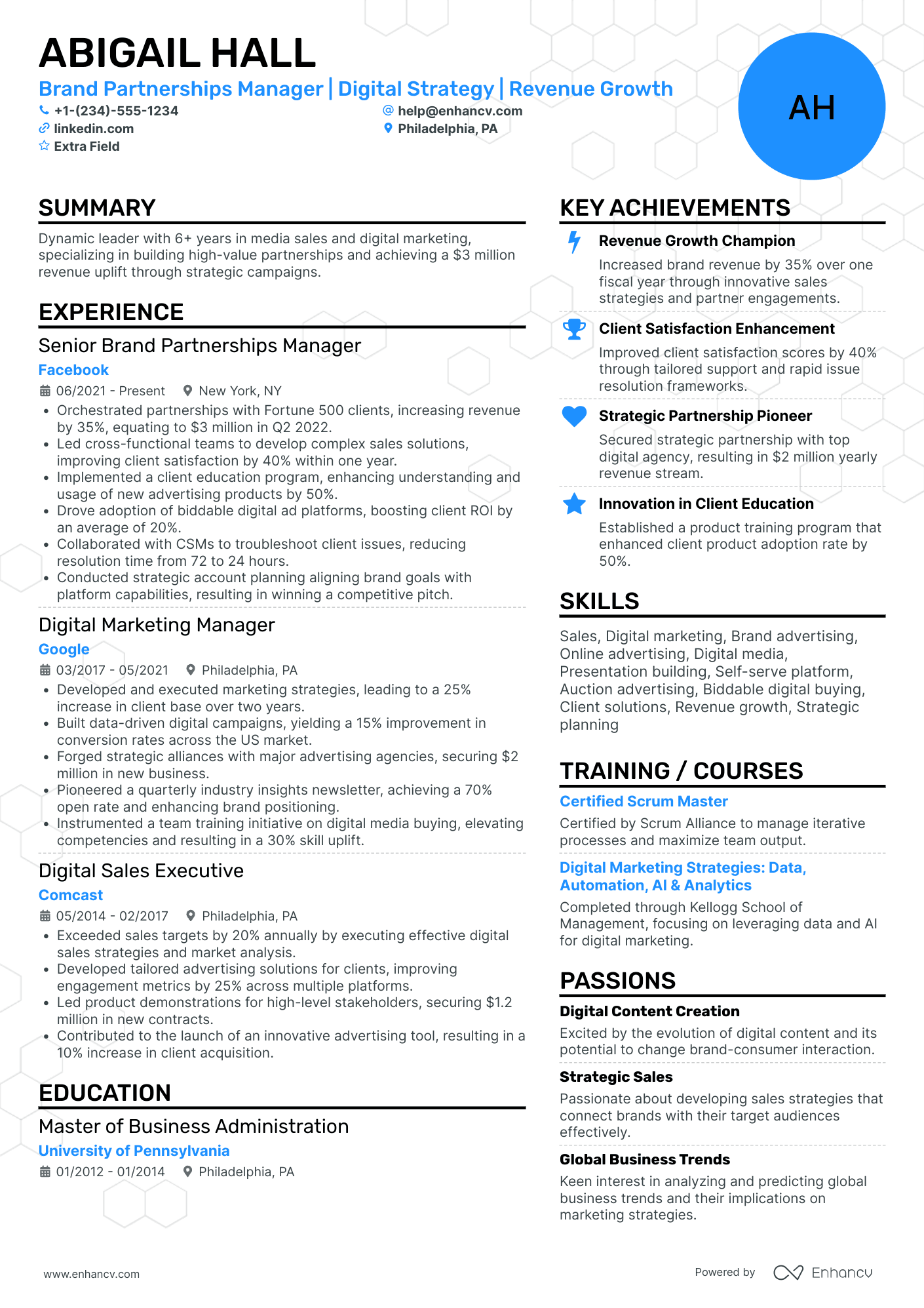 Brand Partnerships Manager Resume Example