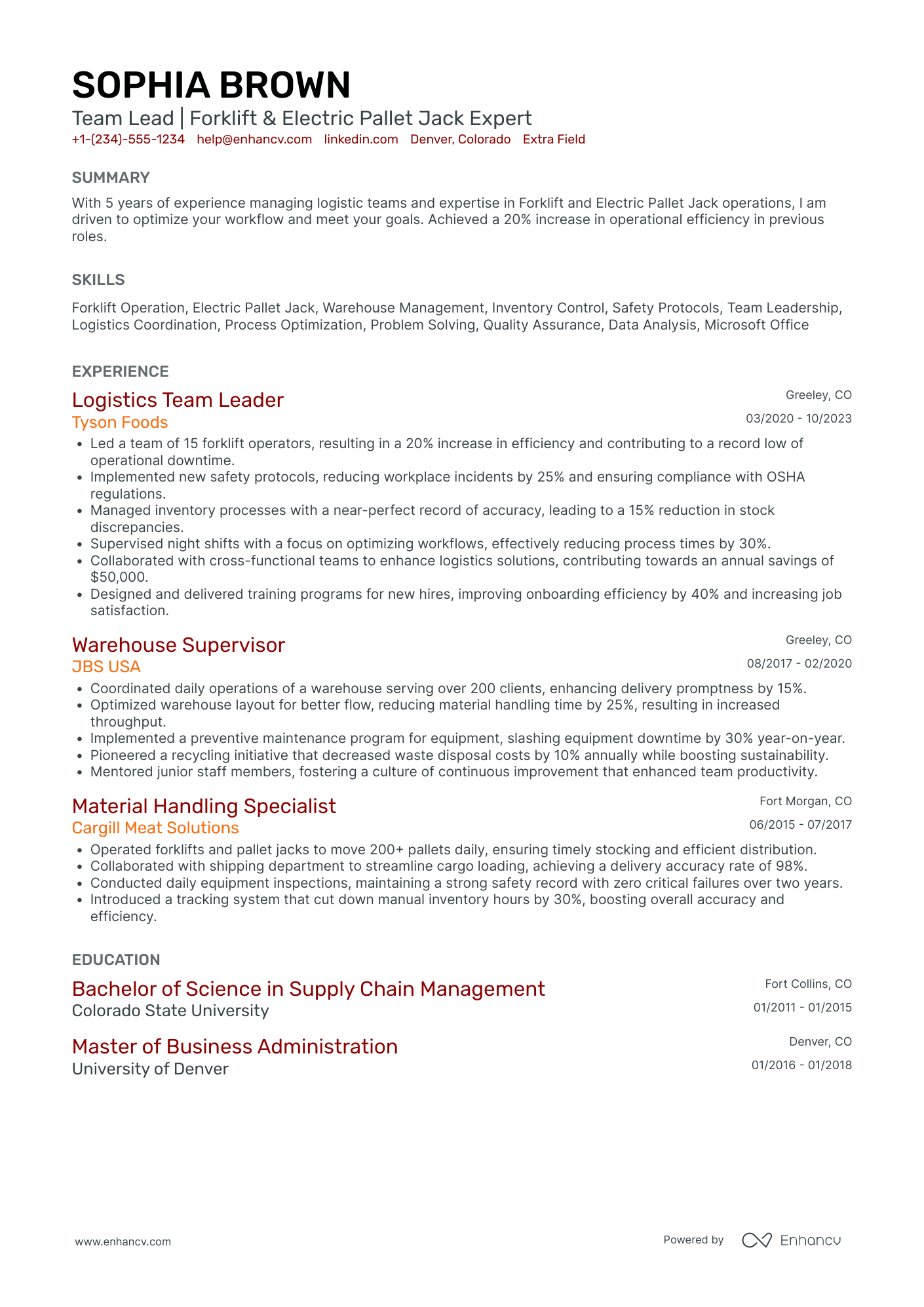 Uber Driver Team Lead Resume Example