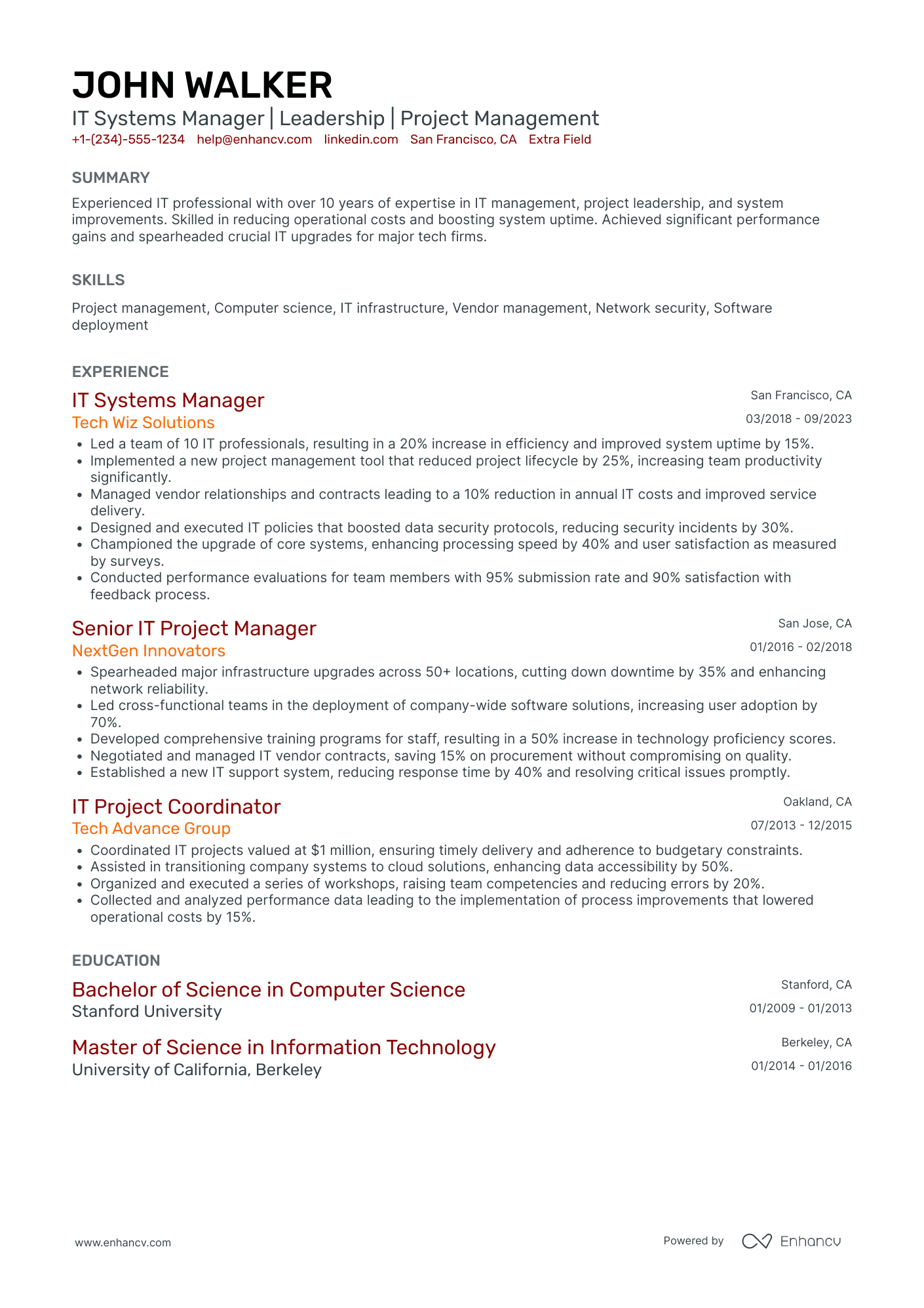 IT Technical Manager Resume Example