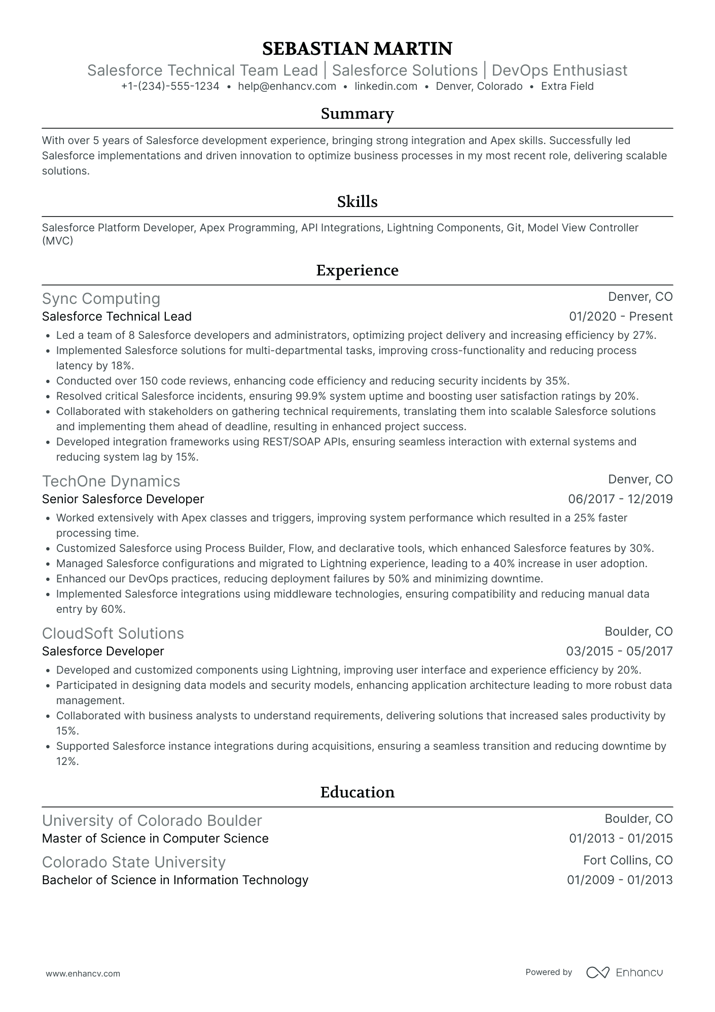 Salesforce Developer Team Lead Resume Example