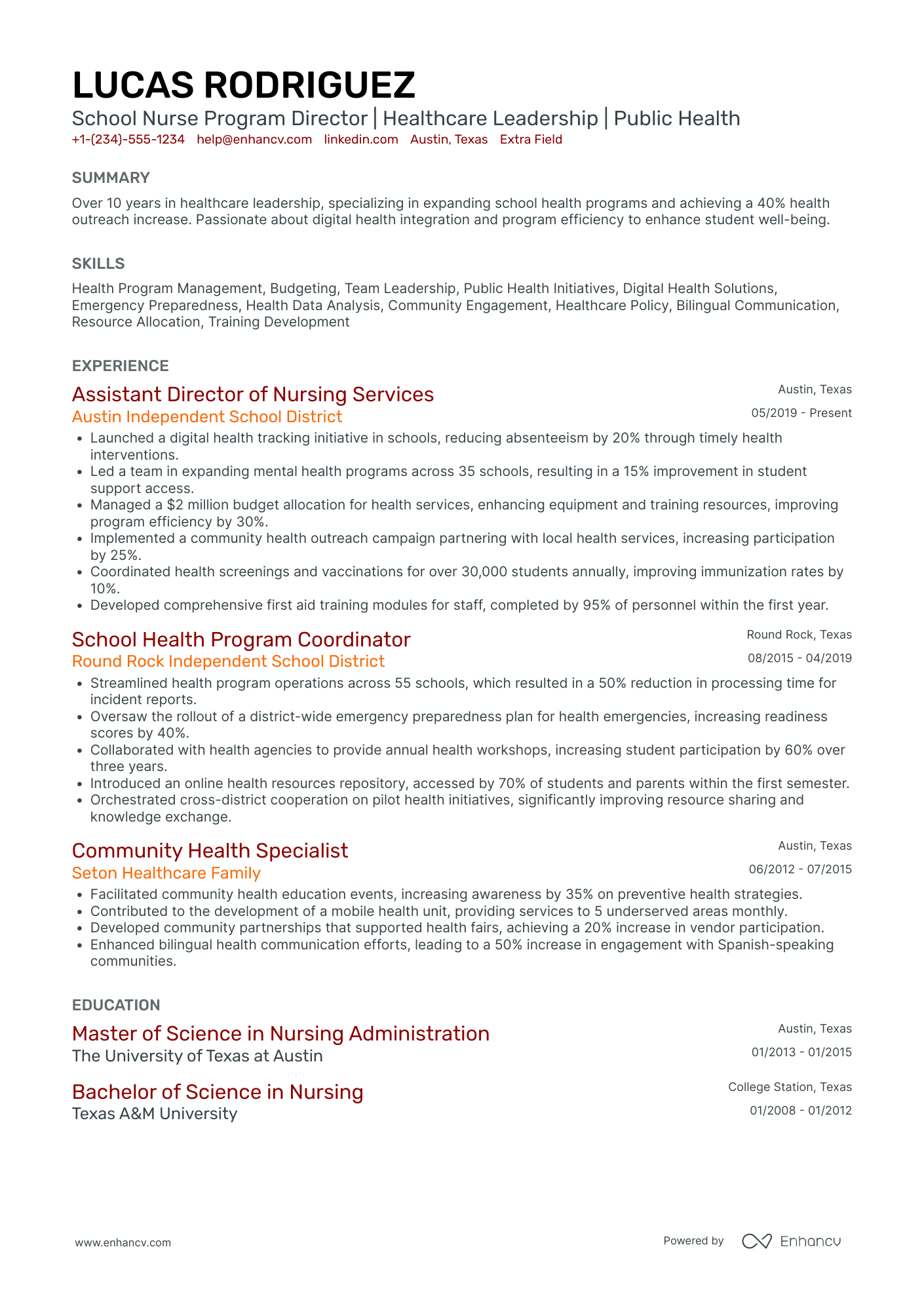 School Nurse Program Director Resume Example