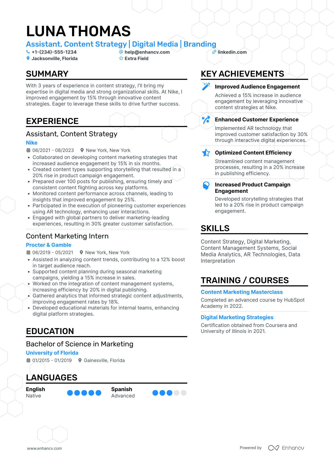 Social Media Marketing Assistant Resume Example