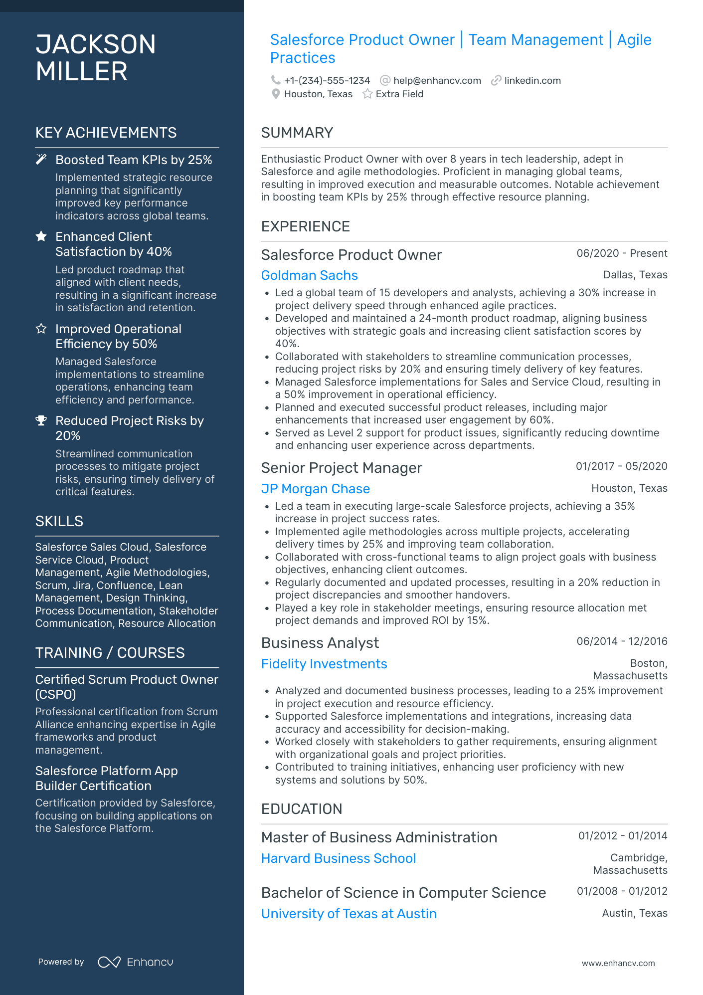 Tech Sales Manager Resume Example