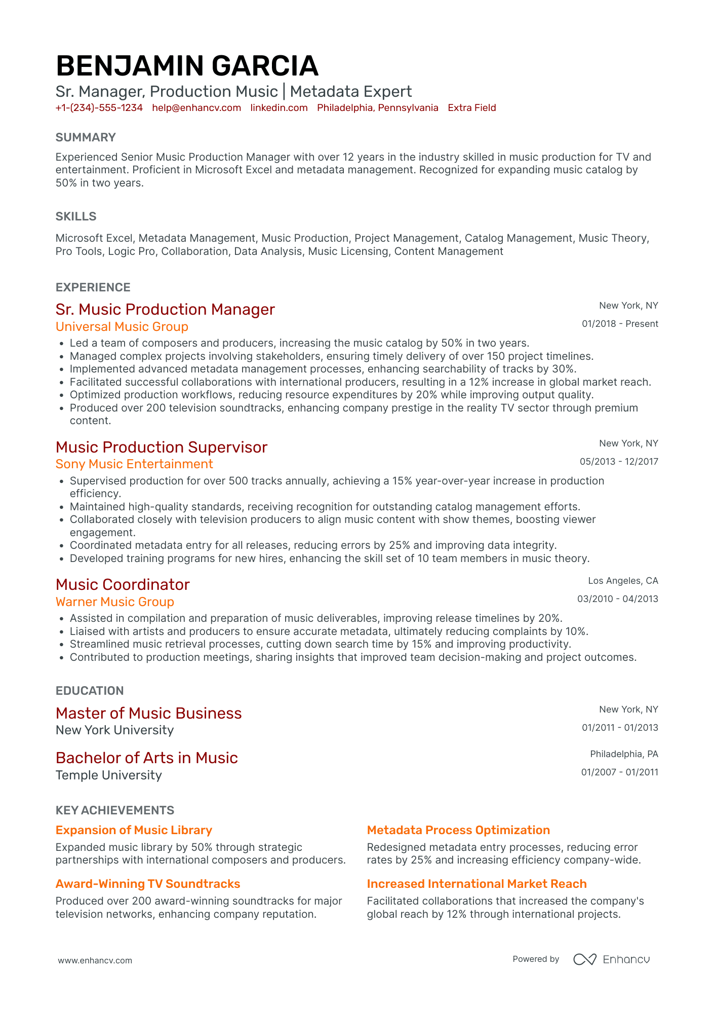 Freelance Musician Resume Example