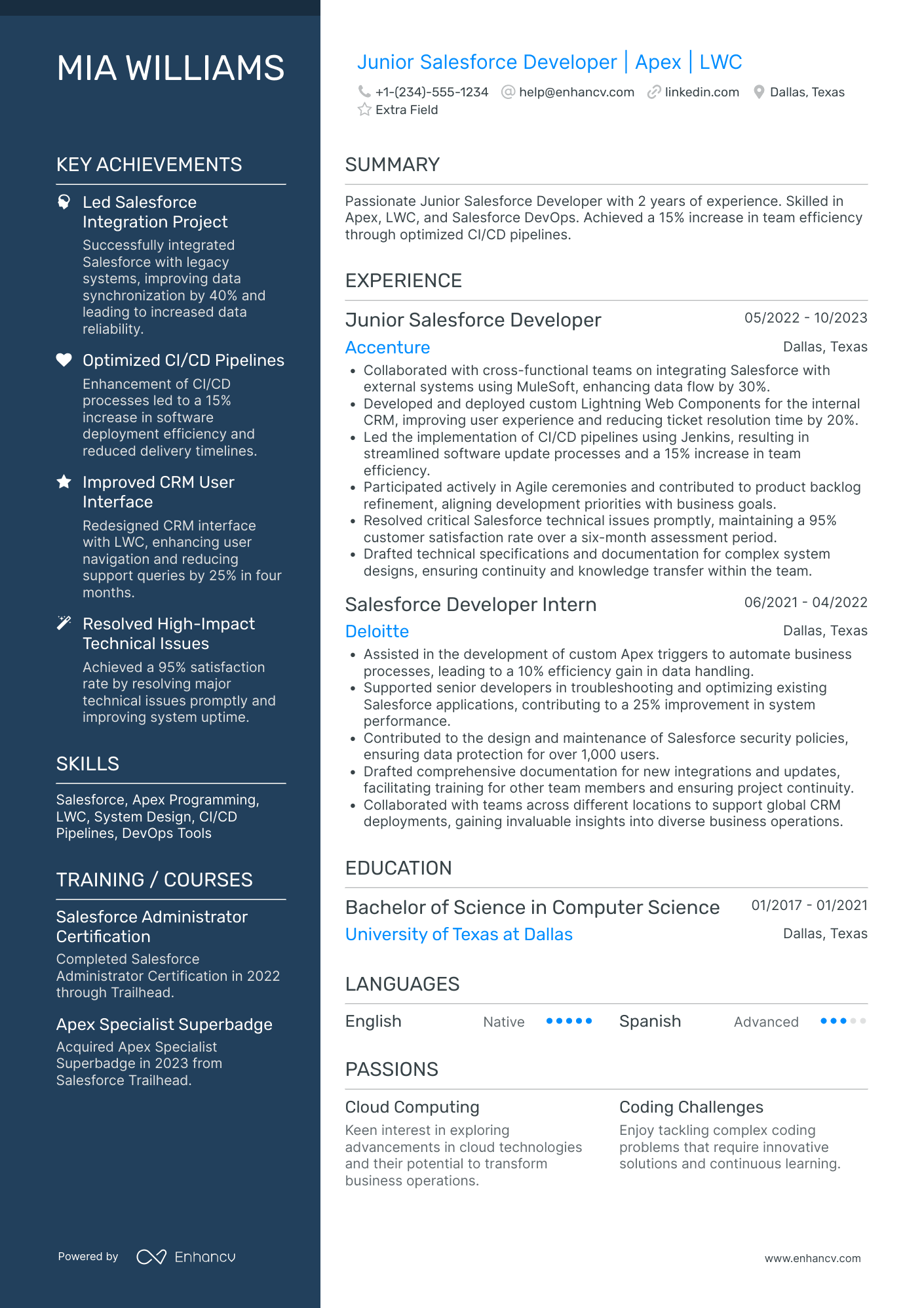 Junior Salesforce Business Analyst Resume Example