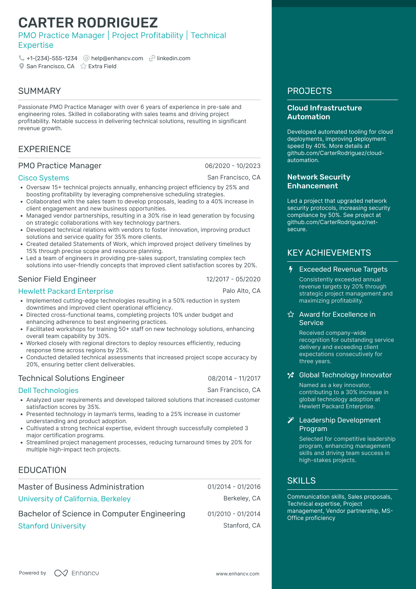 PMO Risk Manager Resume Example