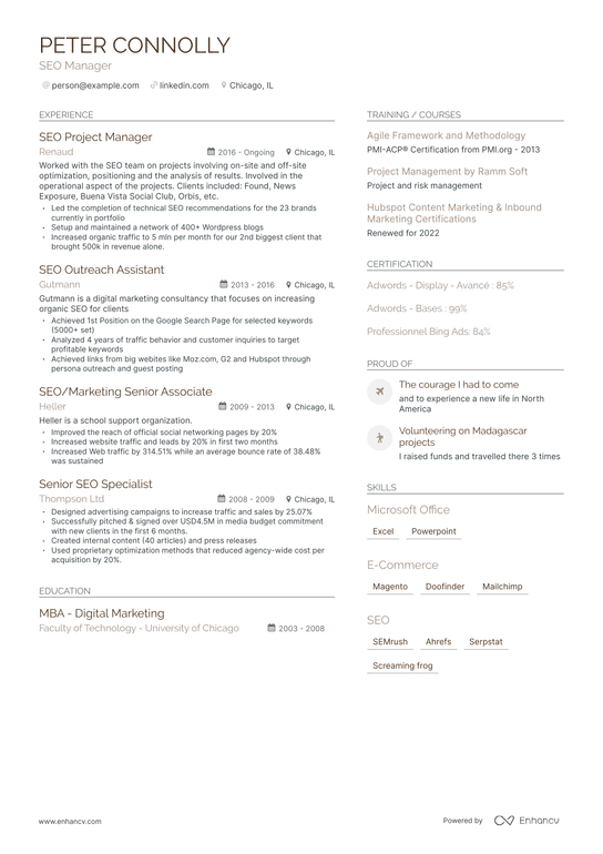 SEO Manager Resume Example
