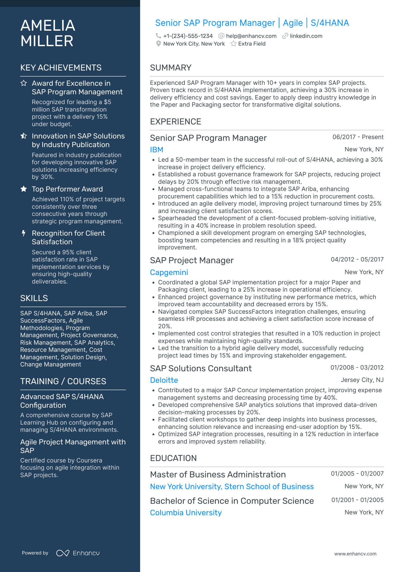 Accenture Senior Project Manager Resume Example