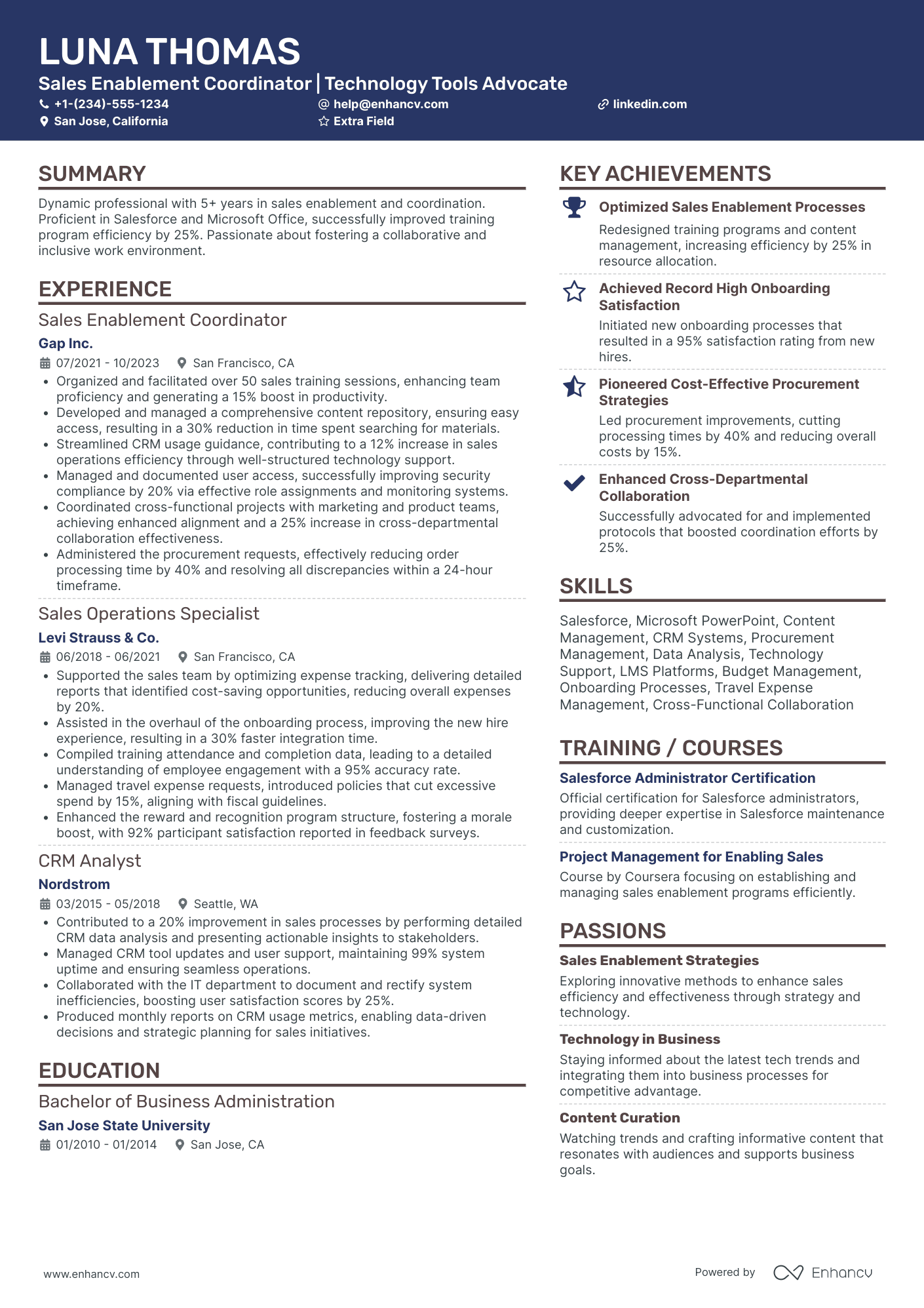 Sales Coordinator   Information Technology Resume Example