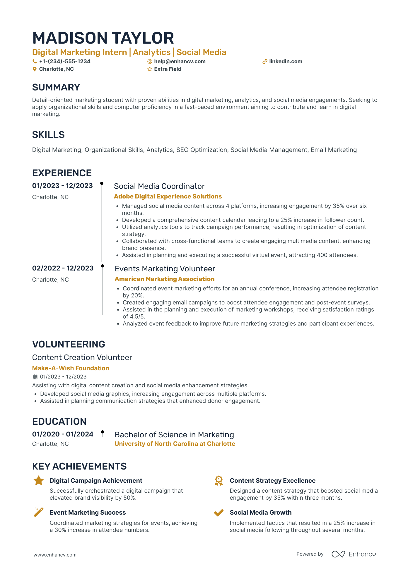 Digital Marketing Intern Resume Example