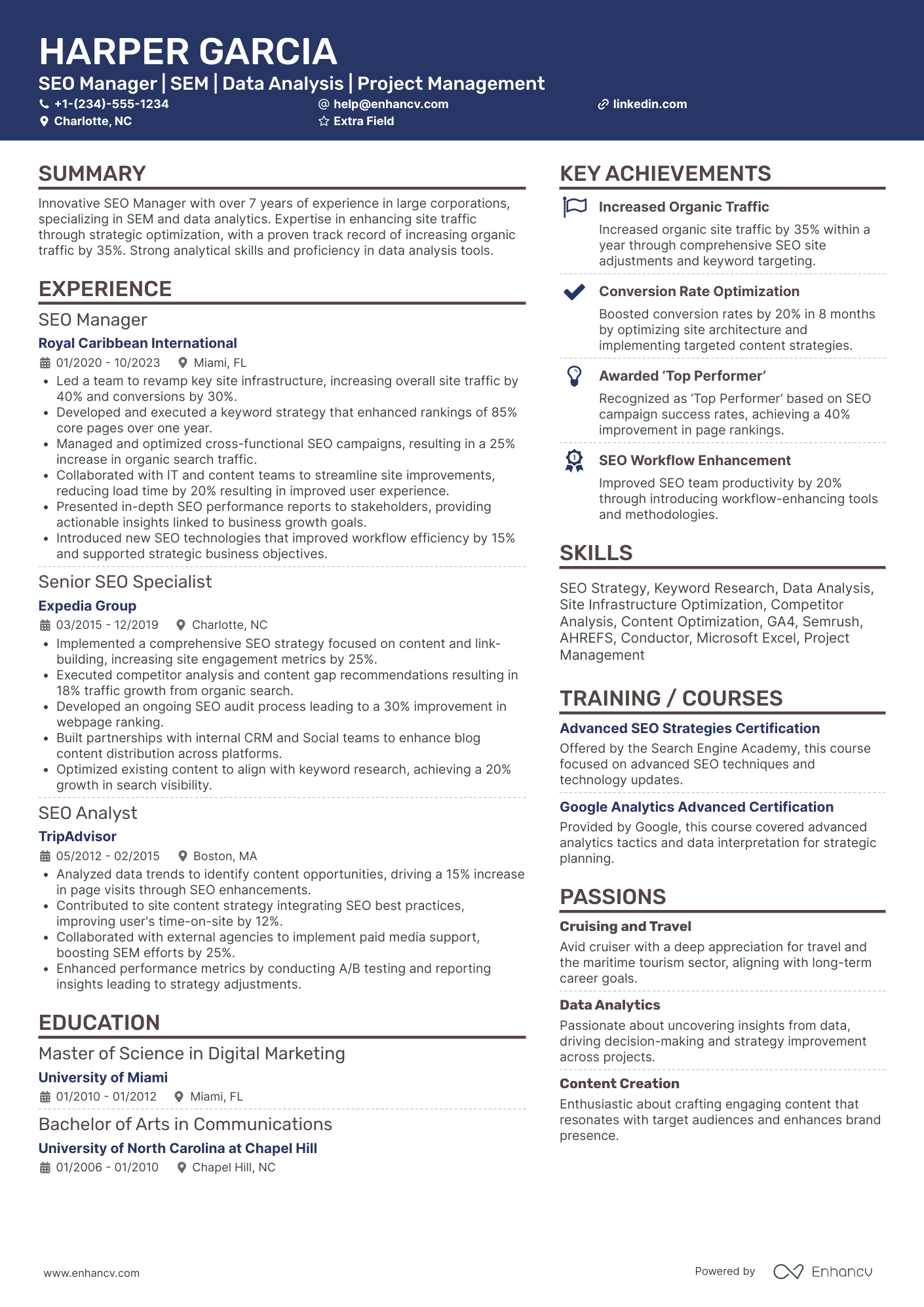 SEO Project Manager Resume Example