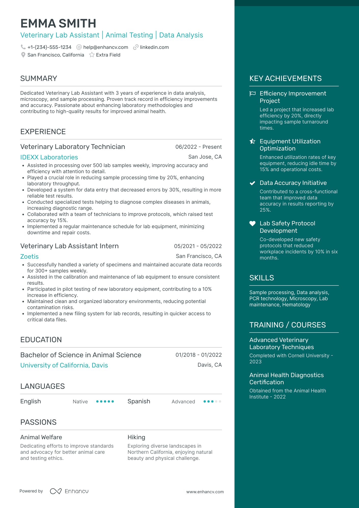 Veterinary Lab Assistant Resume Example