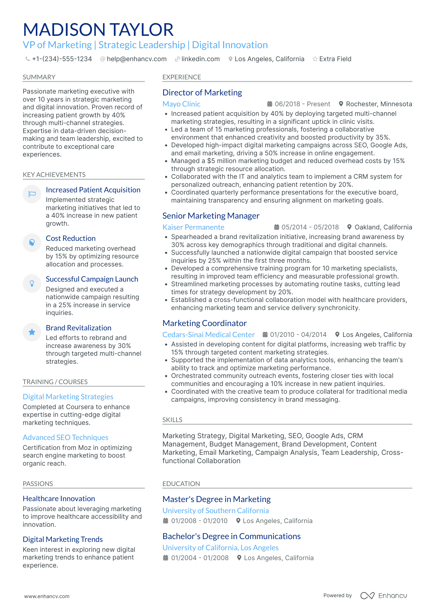 VP Digital Marketing and SEO Resume Example