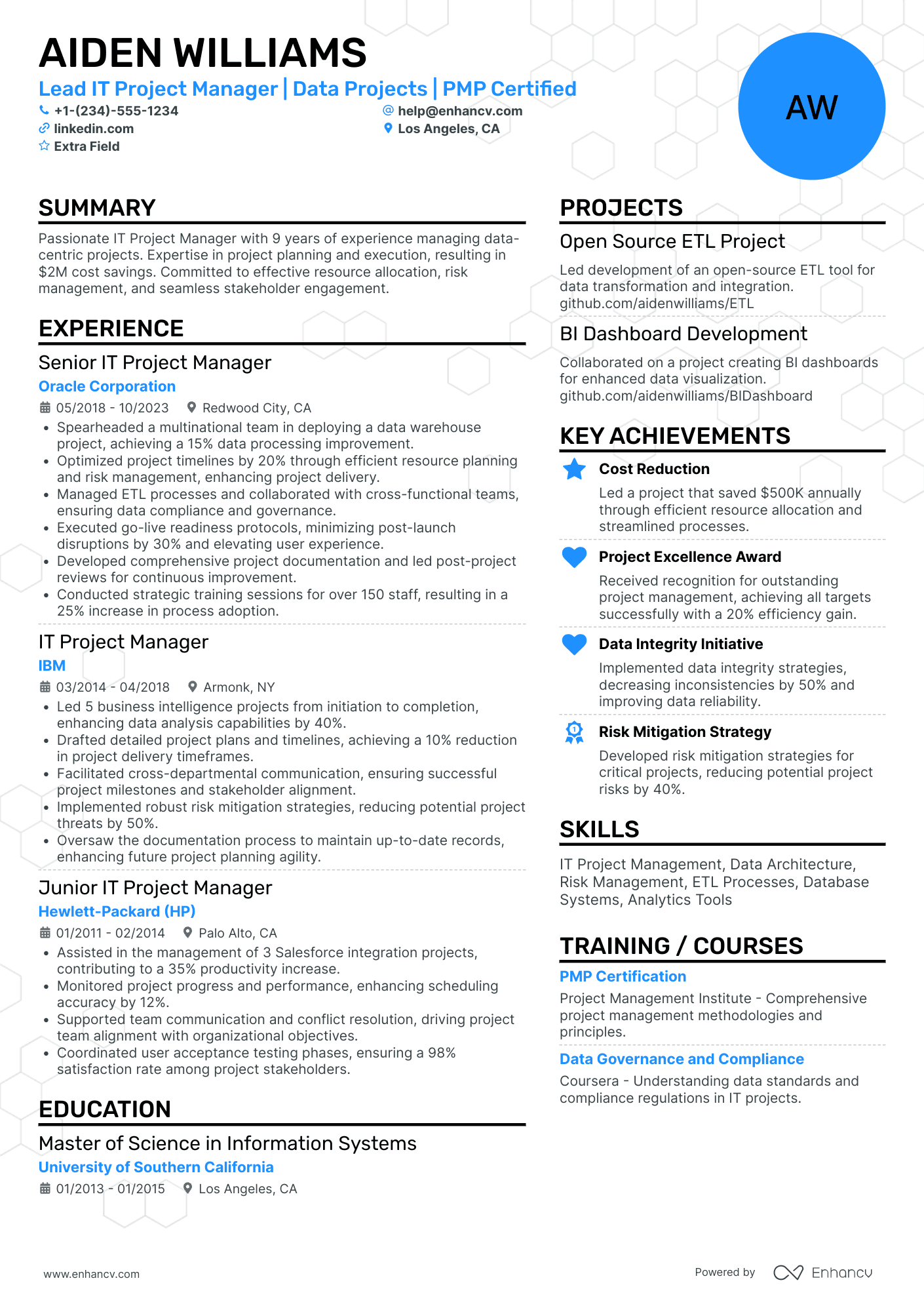 Lead IT Project Manager Resume Example