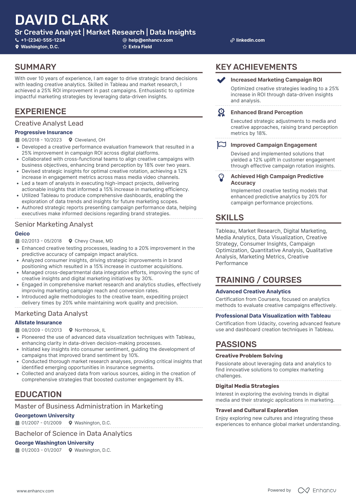 Senior Digital Marketing Consultant Resume Example