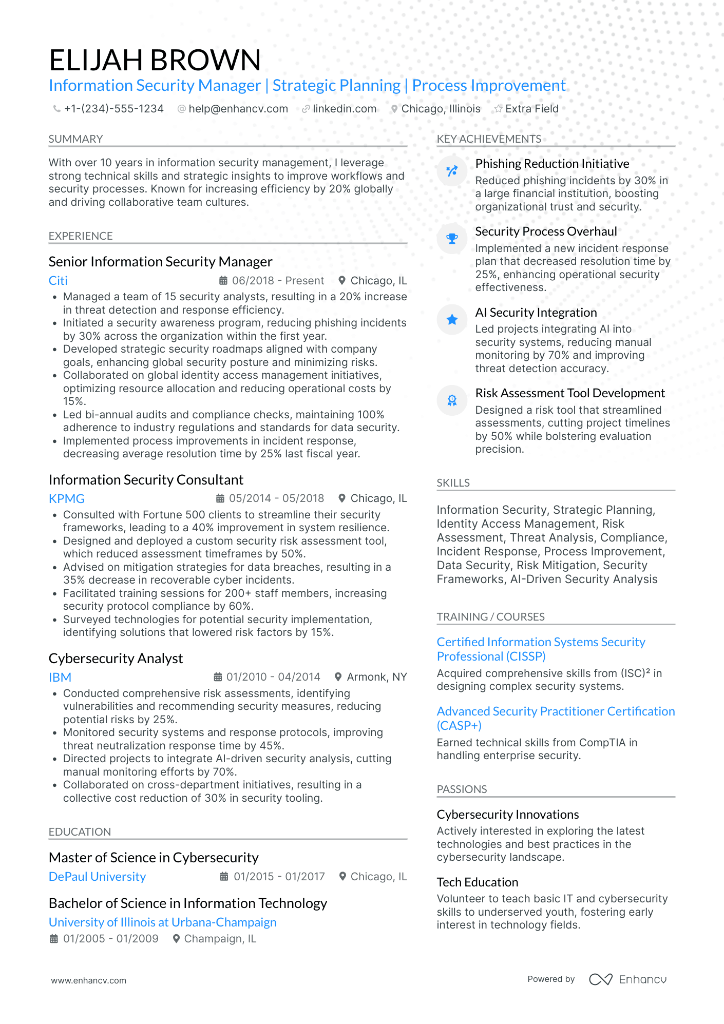 Information Technology Security Manager Resume Example