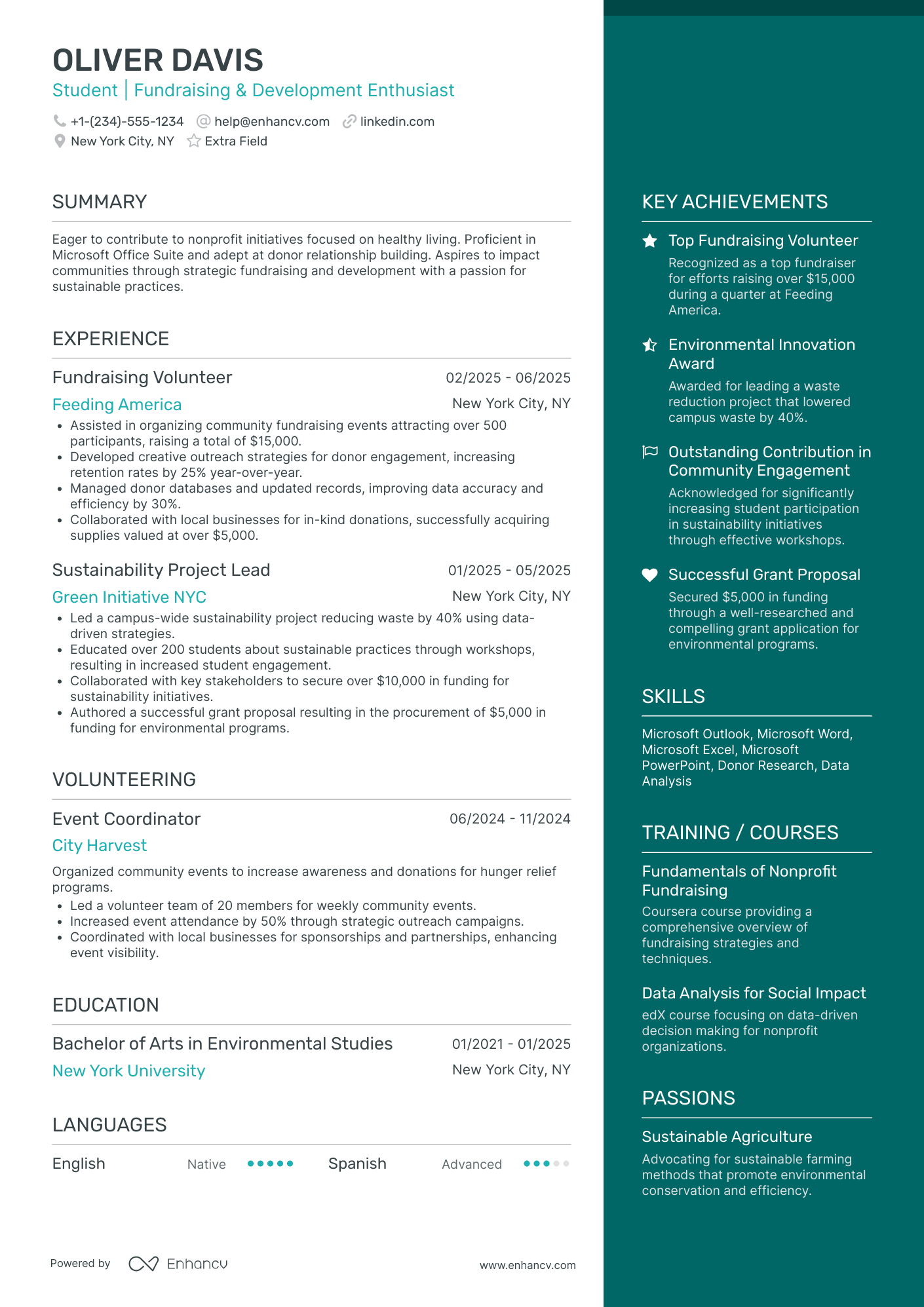 Nonprofit Management Intern Resume Example