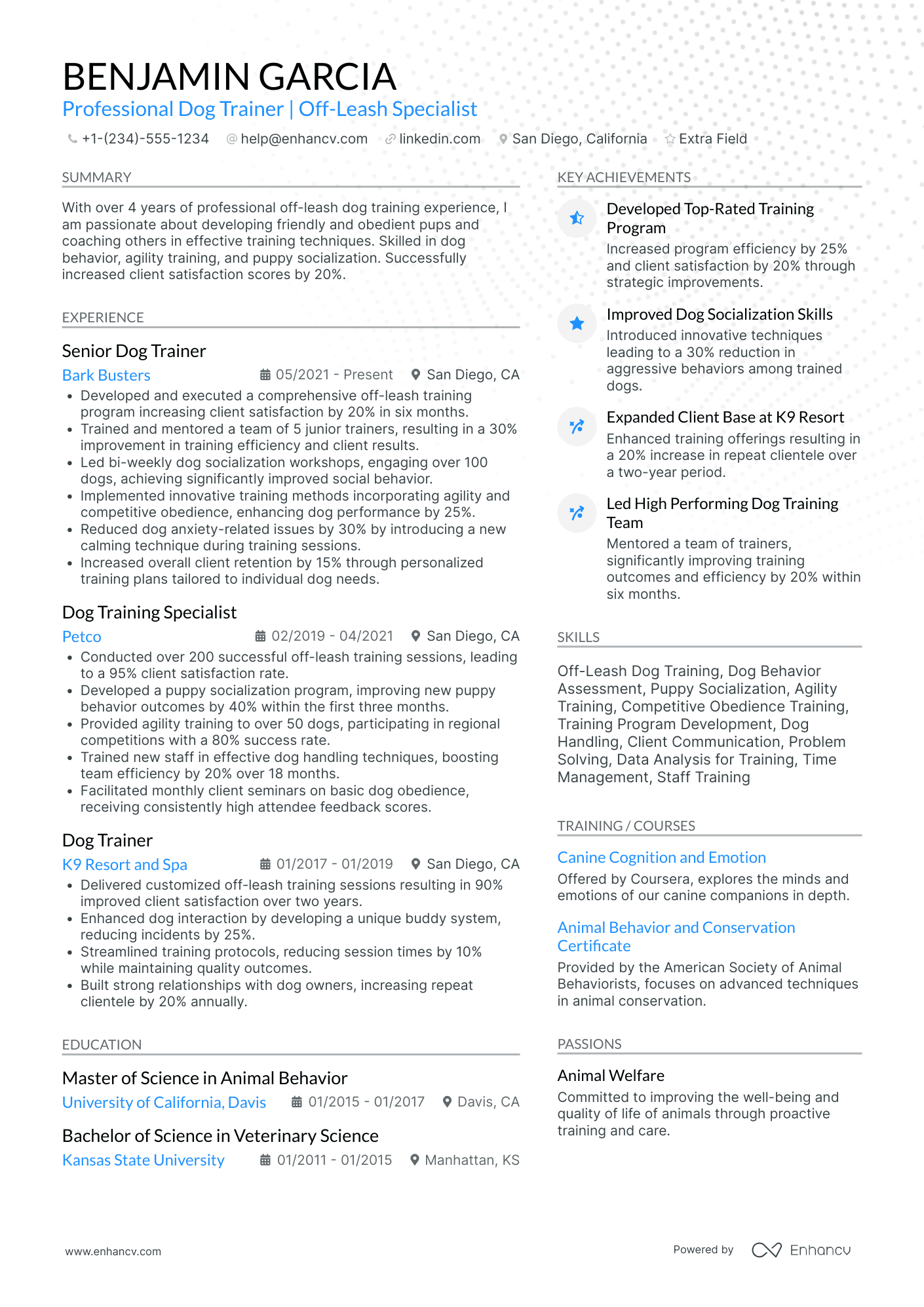 Camp Counselor Coordinator Resume Example