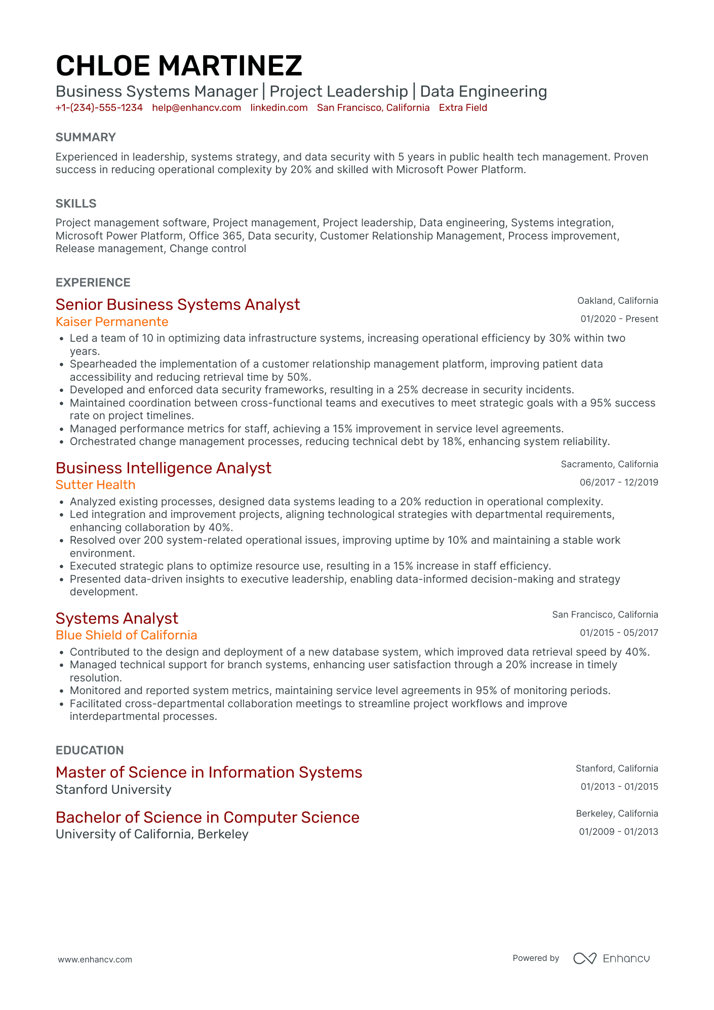 Business Intelligence Project Manager Resume Example