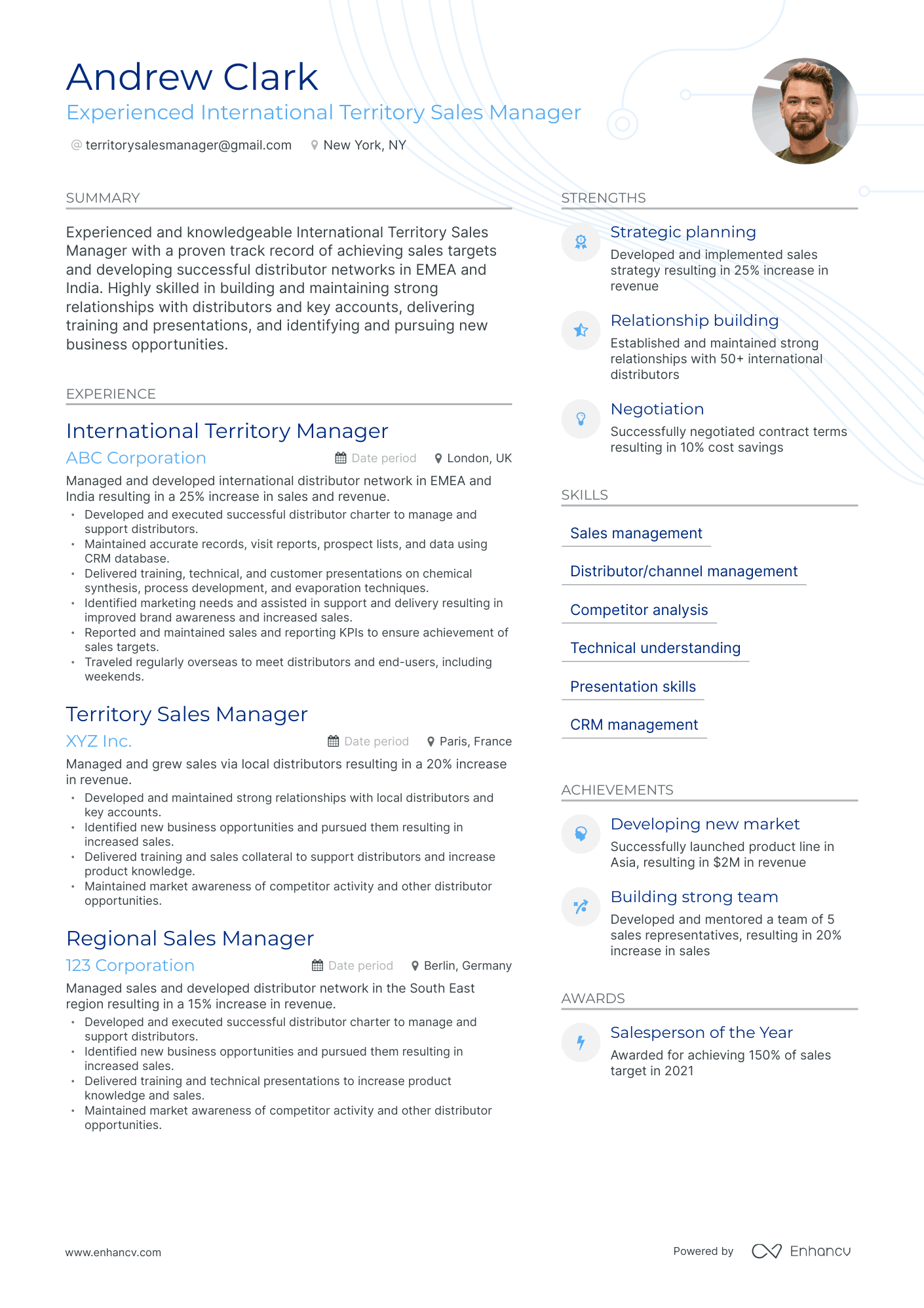 Territory Sales Manager Resume Example