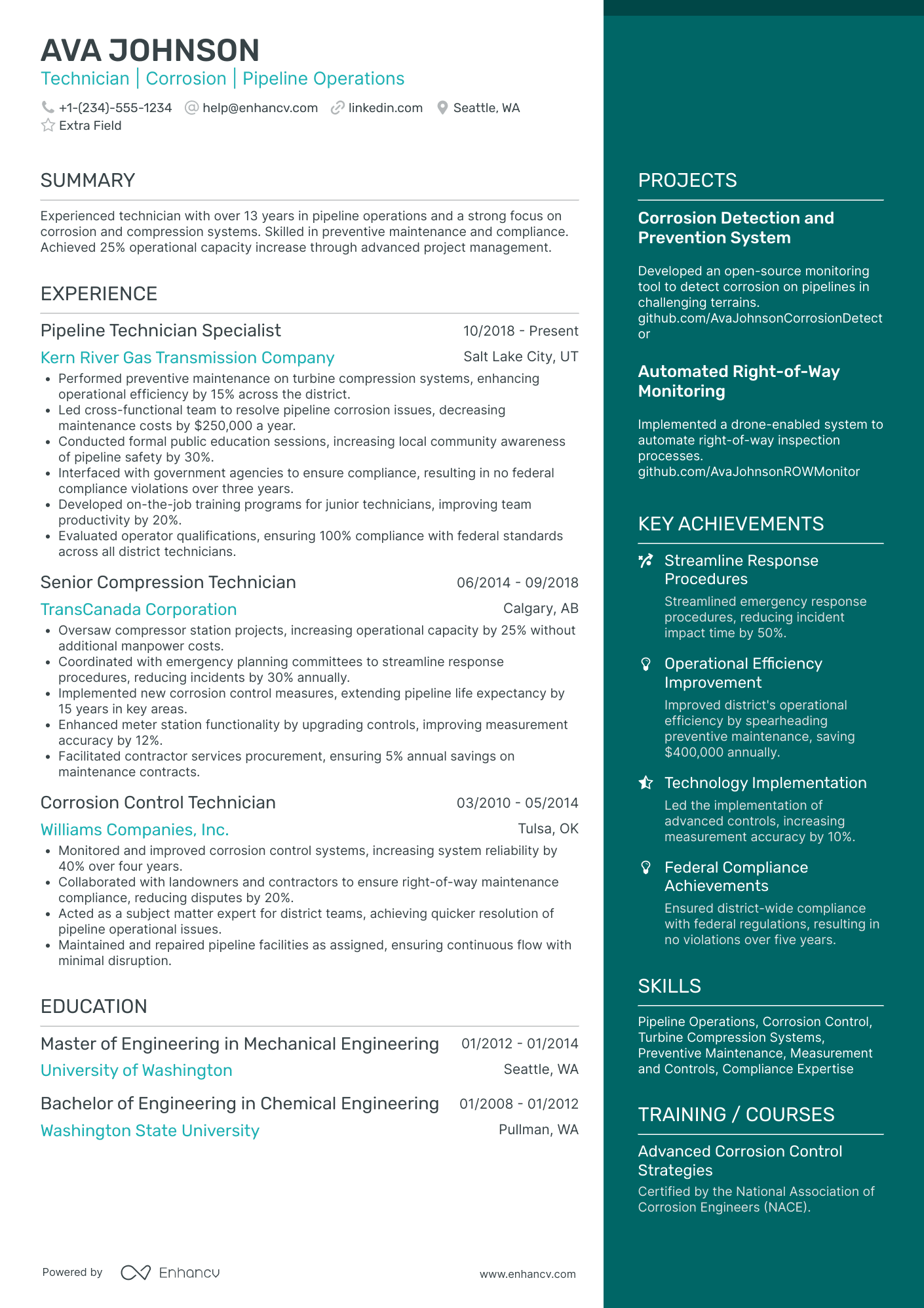 Lead IT Technician Resume Example