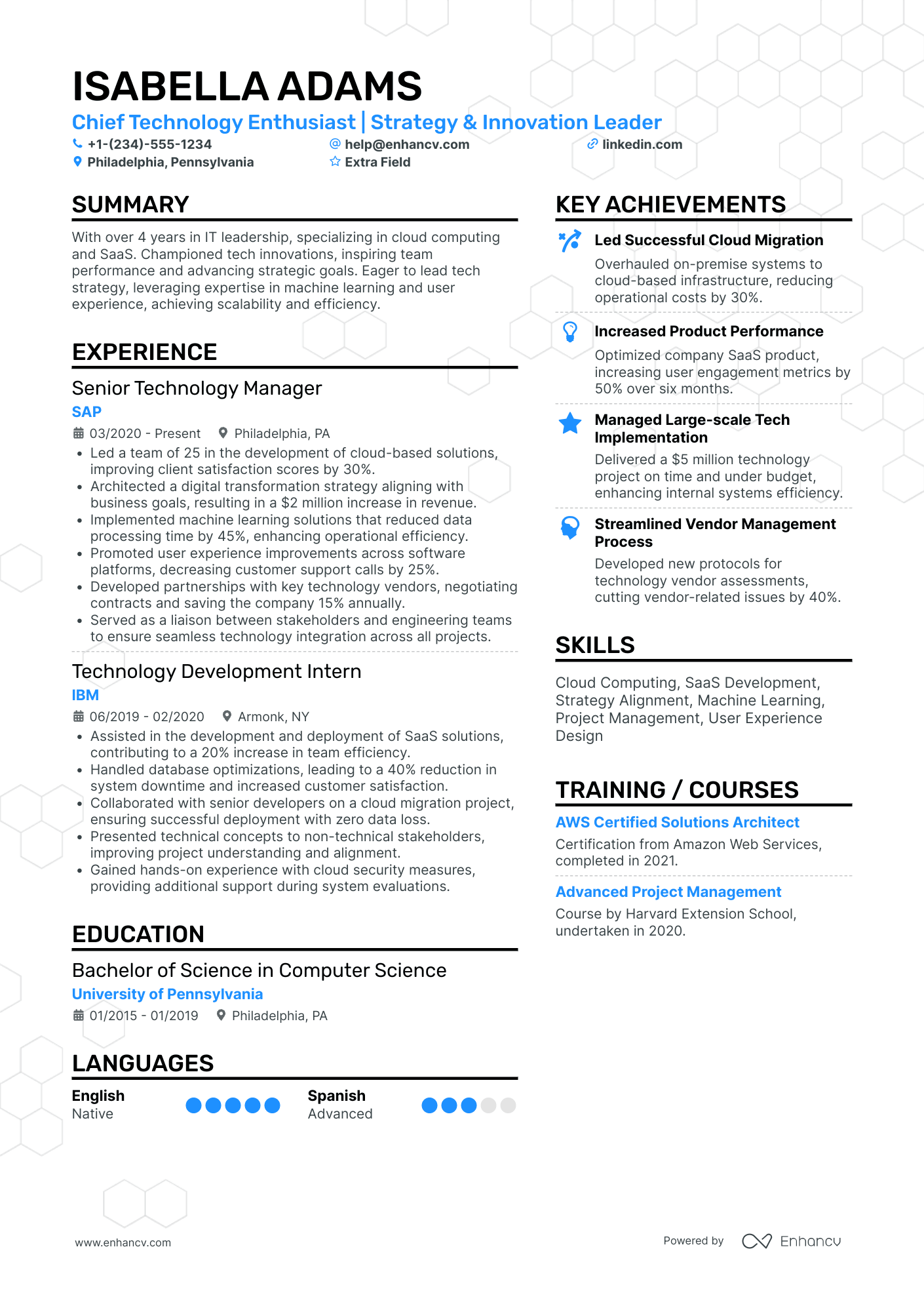 Junior CTO Resume Example