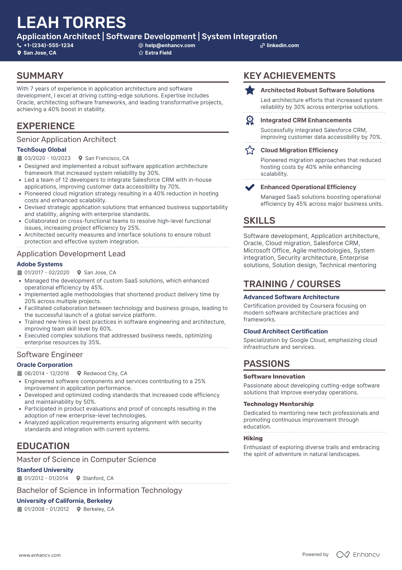 Application Architect Resume Example