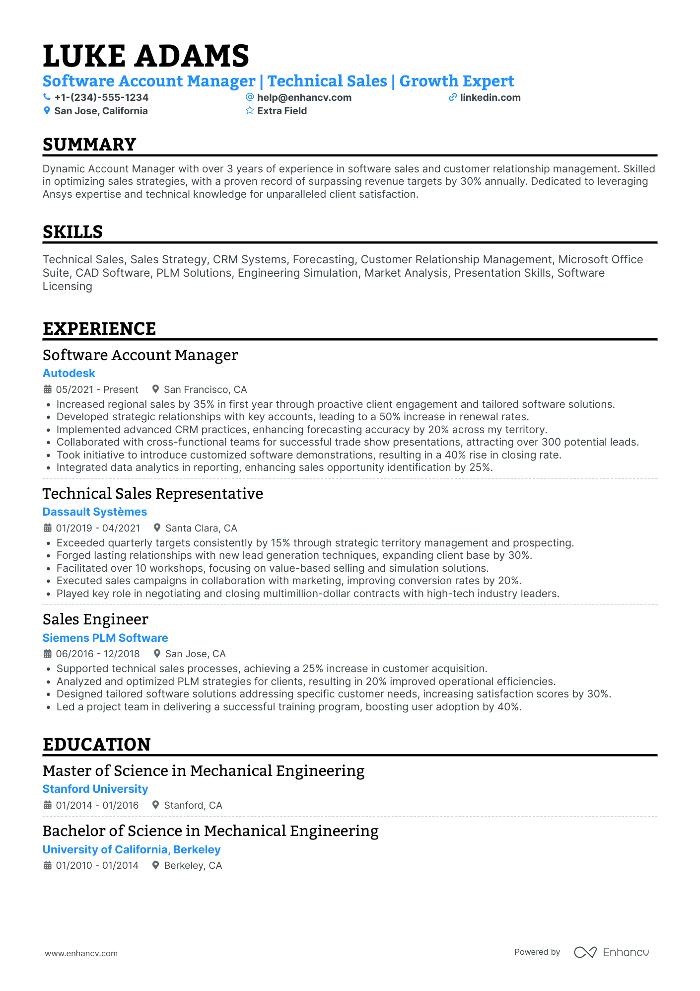 Software Account Manager Resume Example