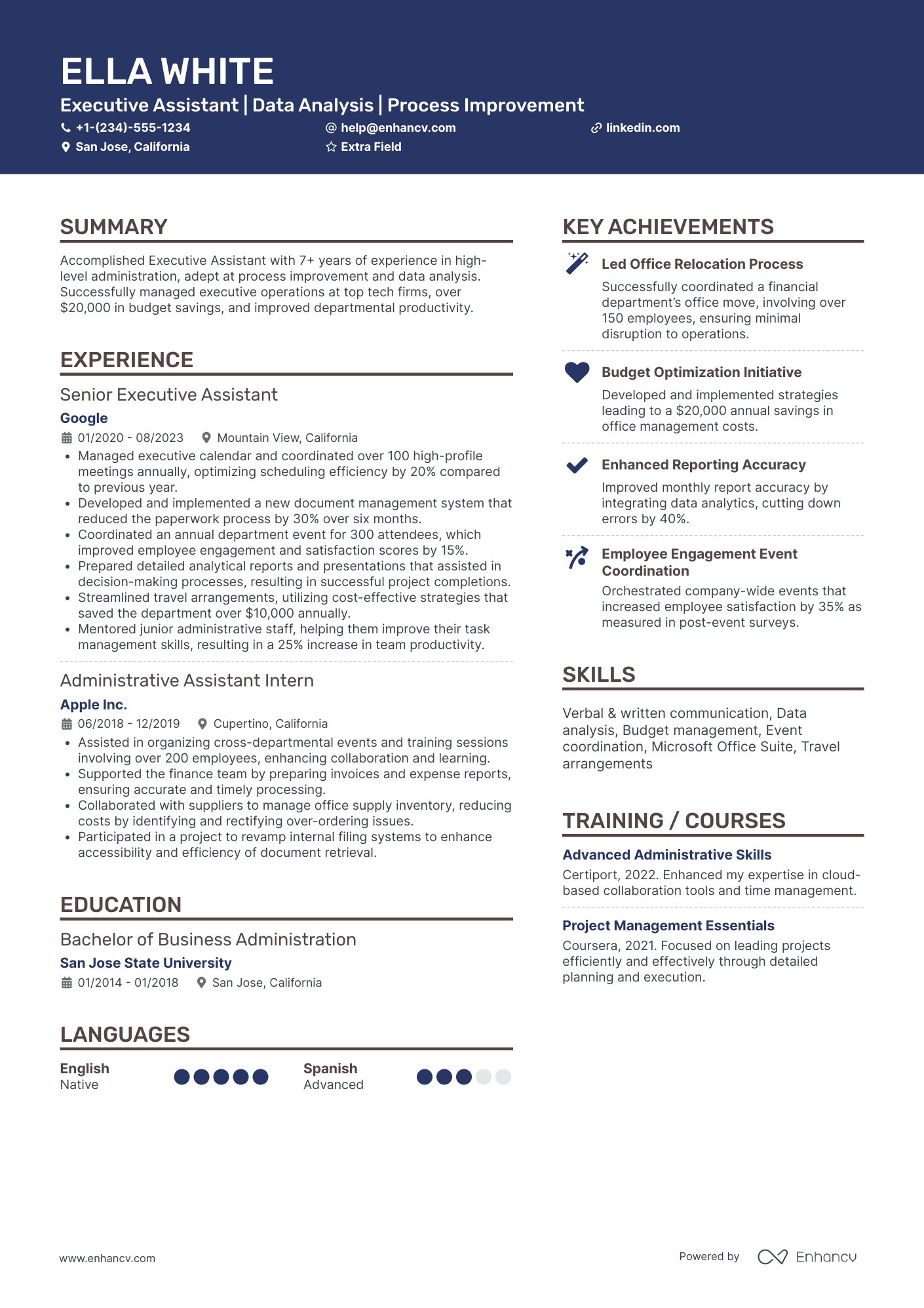 Junior Executive Assistant Resume Example