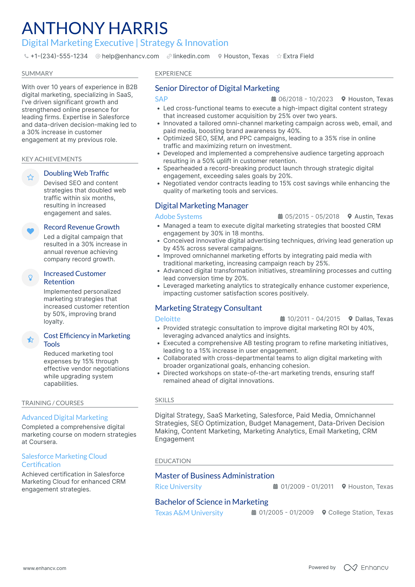 VP Digital Marketing and Customer Experience Resume Example