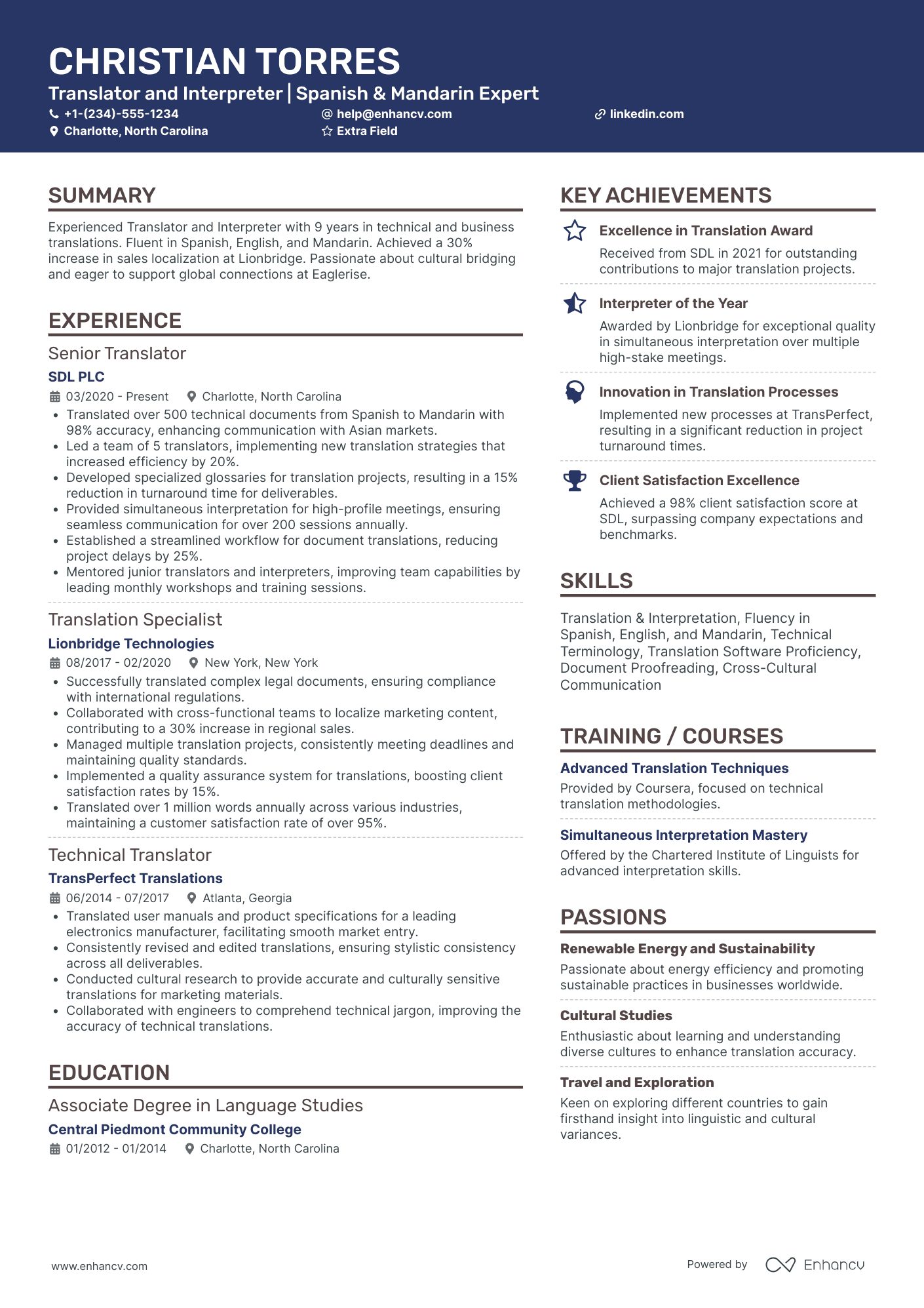 Lead Translator Resume Example