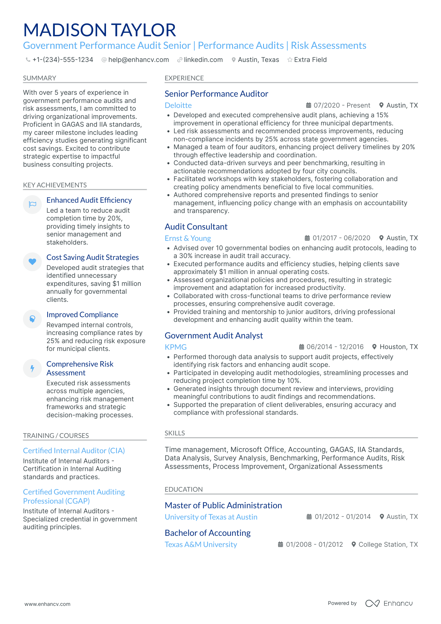 Government Auditor Resume Example