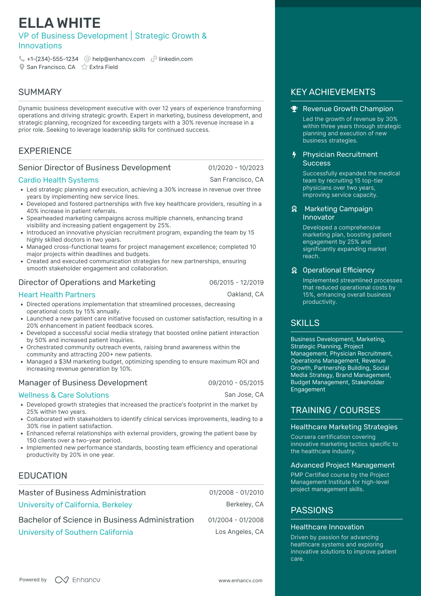 VP Marketing and Business Development Resume Example