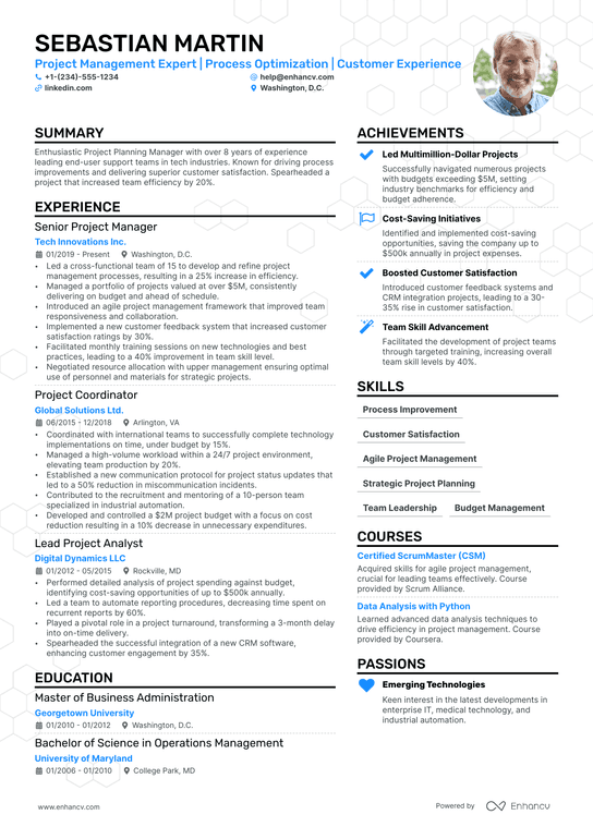 Planning Manager Resume Example