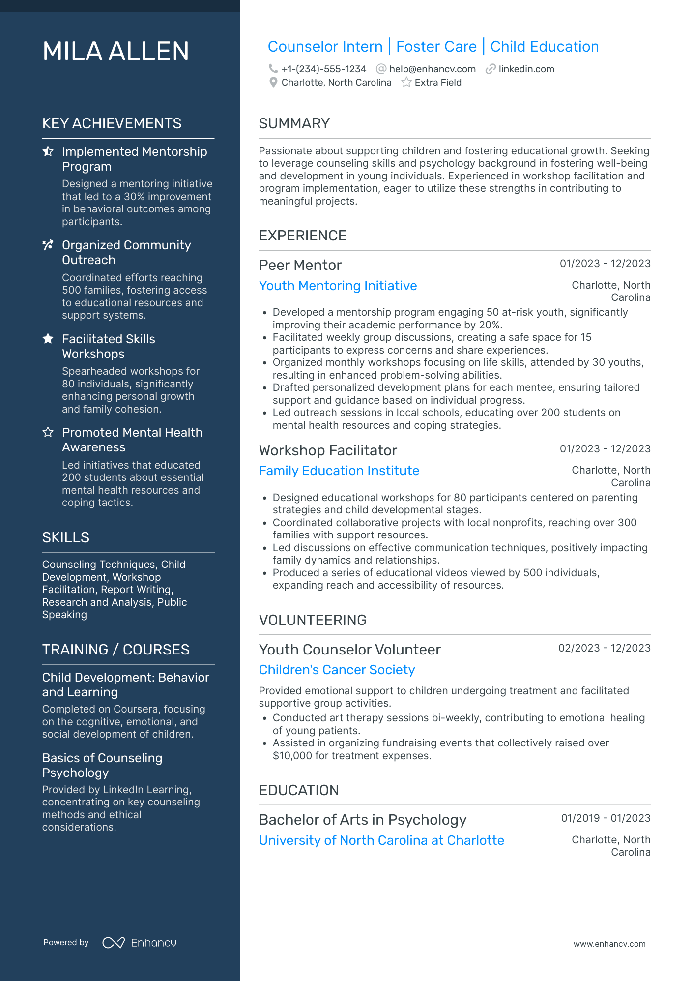 Camp Counselor Intern Resume Example