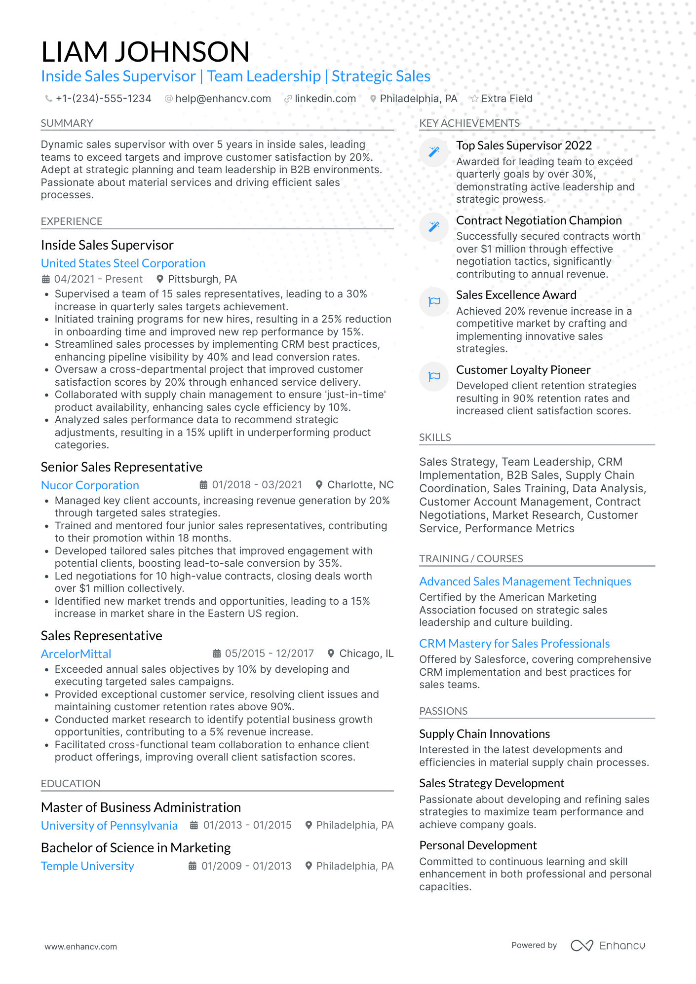 Insurance Sales Supervisor Resume Example