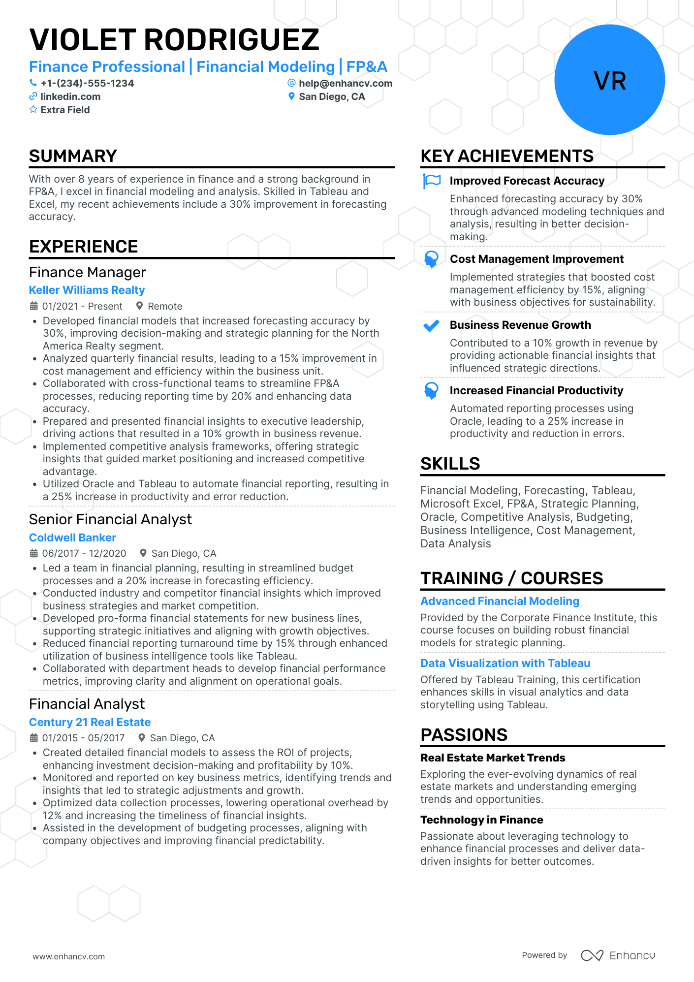 Finance Risk Manager Resume Example