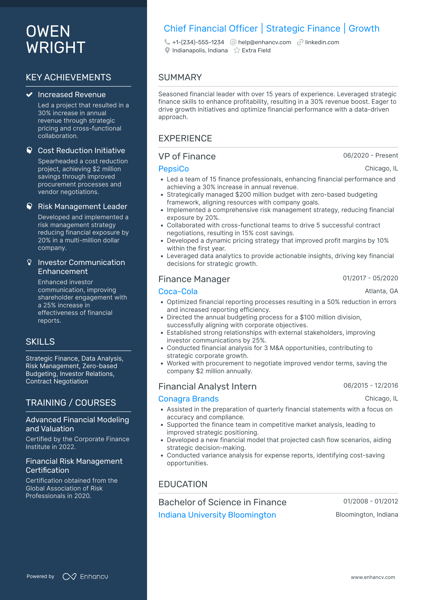 Junior Chief Financial Officer Resume Example