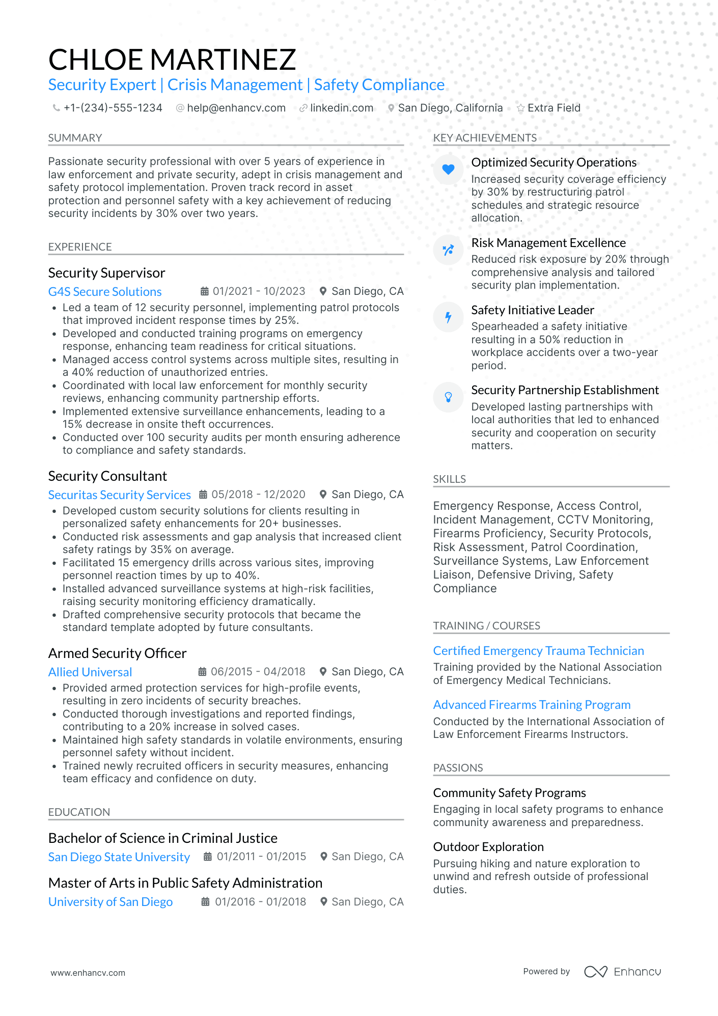 Chief Security Officer (CSO) Resume Example