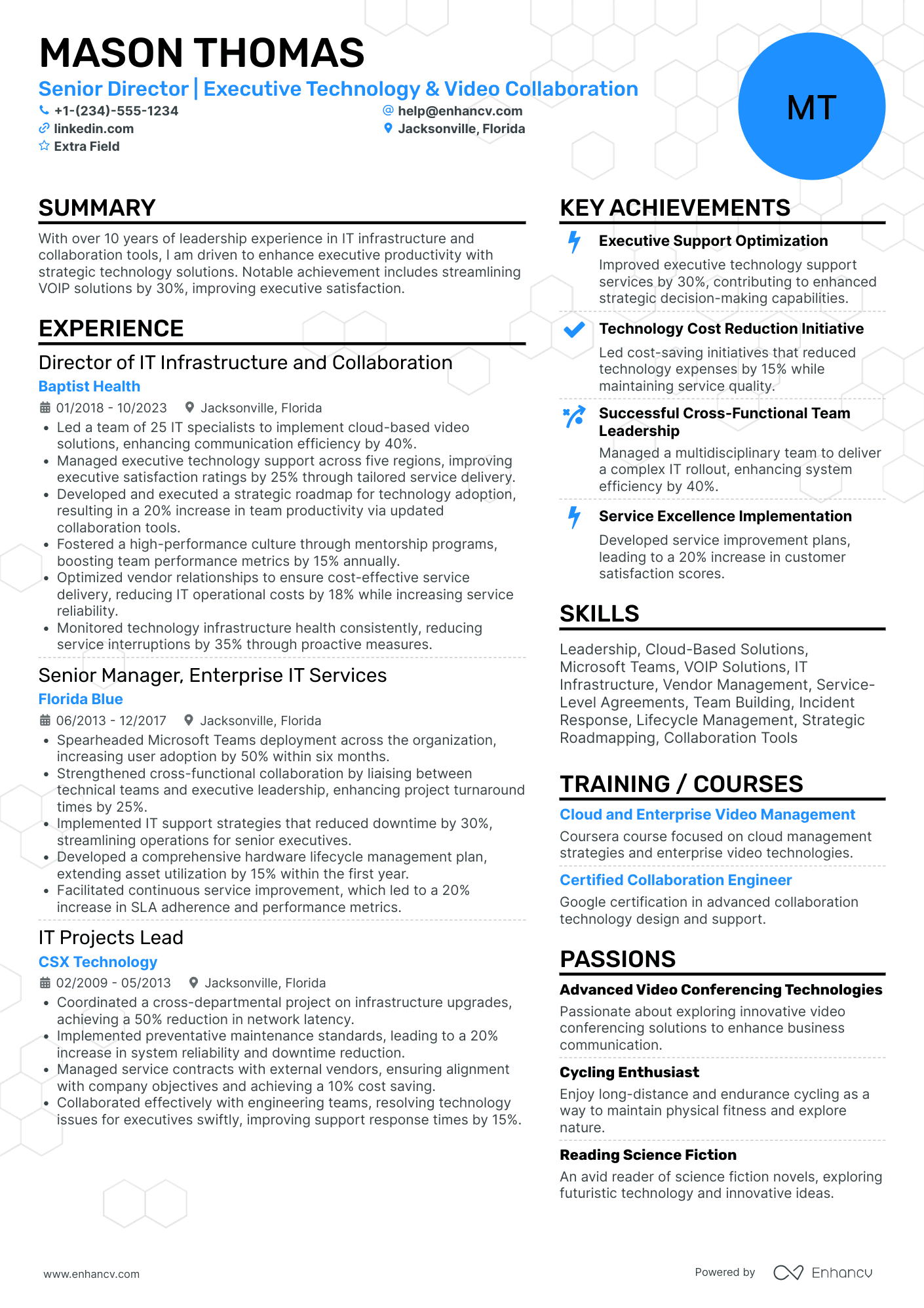 Executive Director of Information Technology Resume Example