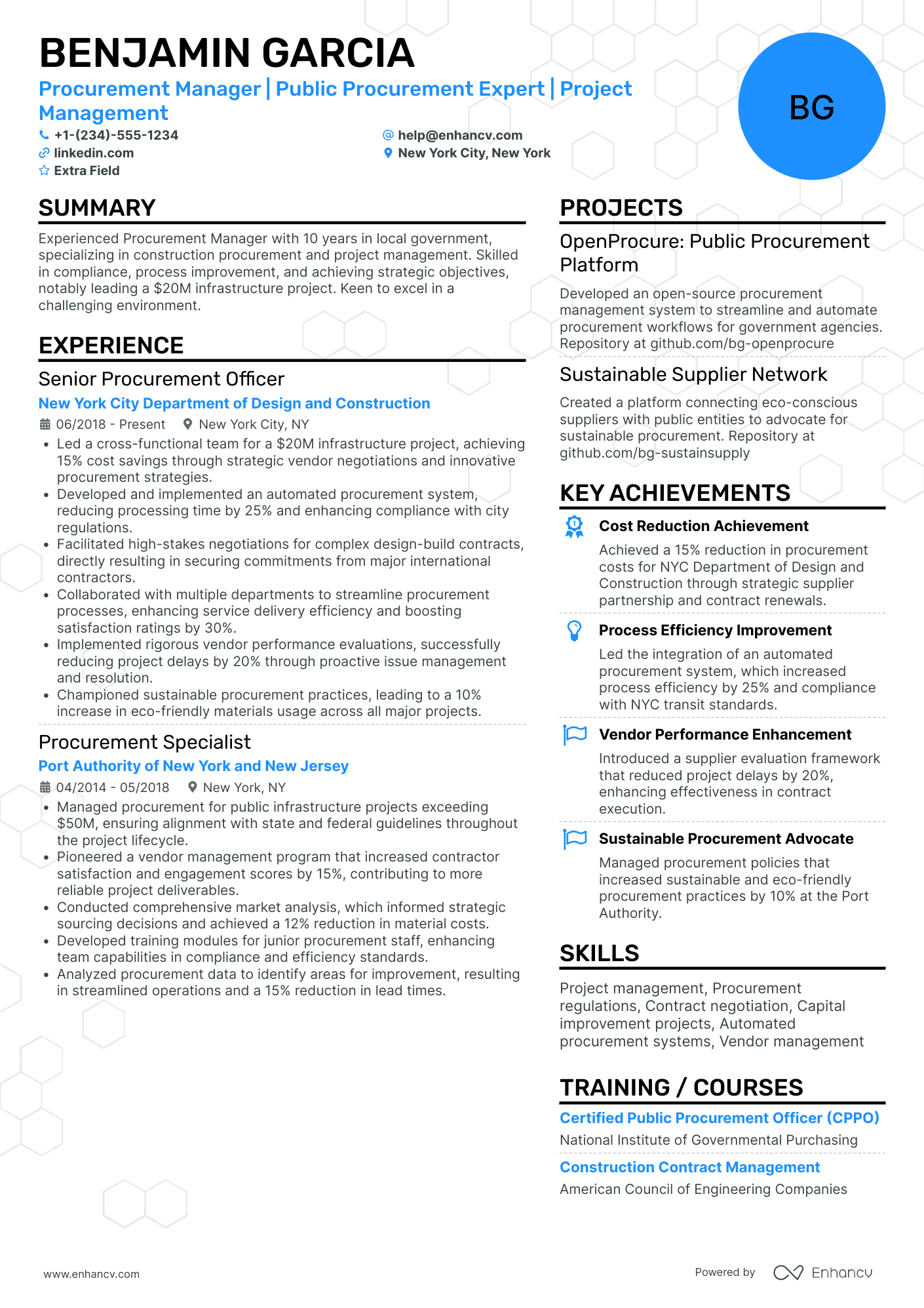 IT Procurement Manager Resume Example